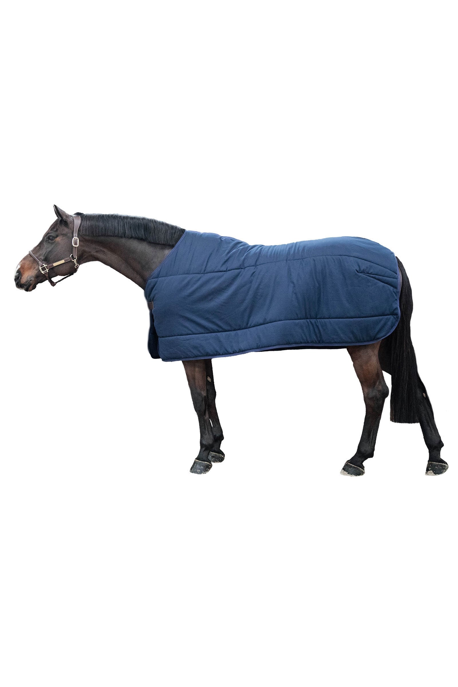 Kentucky Horsewear Classic Under Rug, 300g Horse Rugs