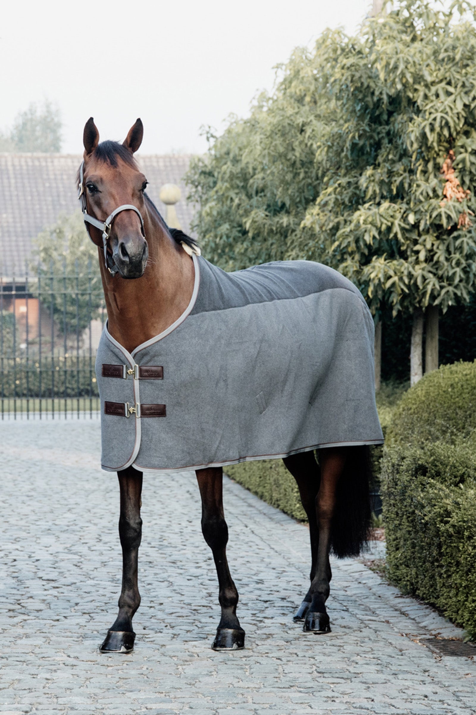 Kentucky Horsewear Tappeto in pile pesante piccolo Coperte per cavalli