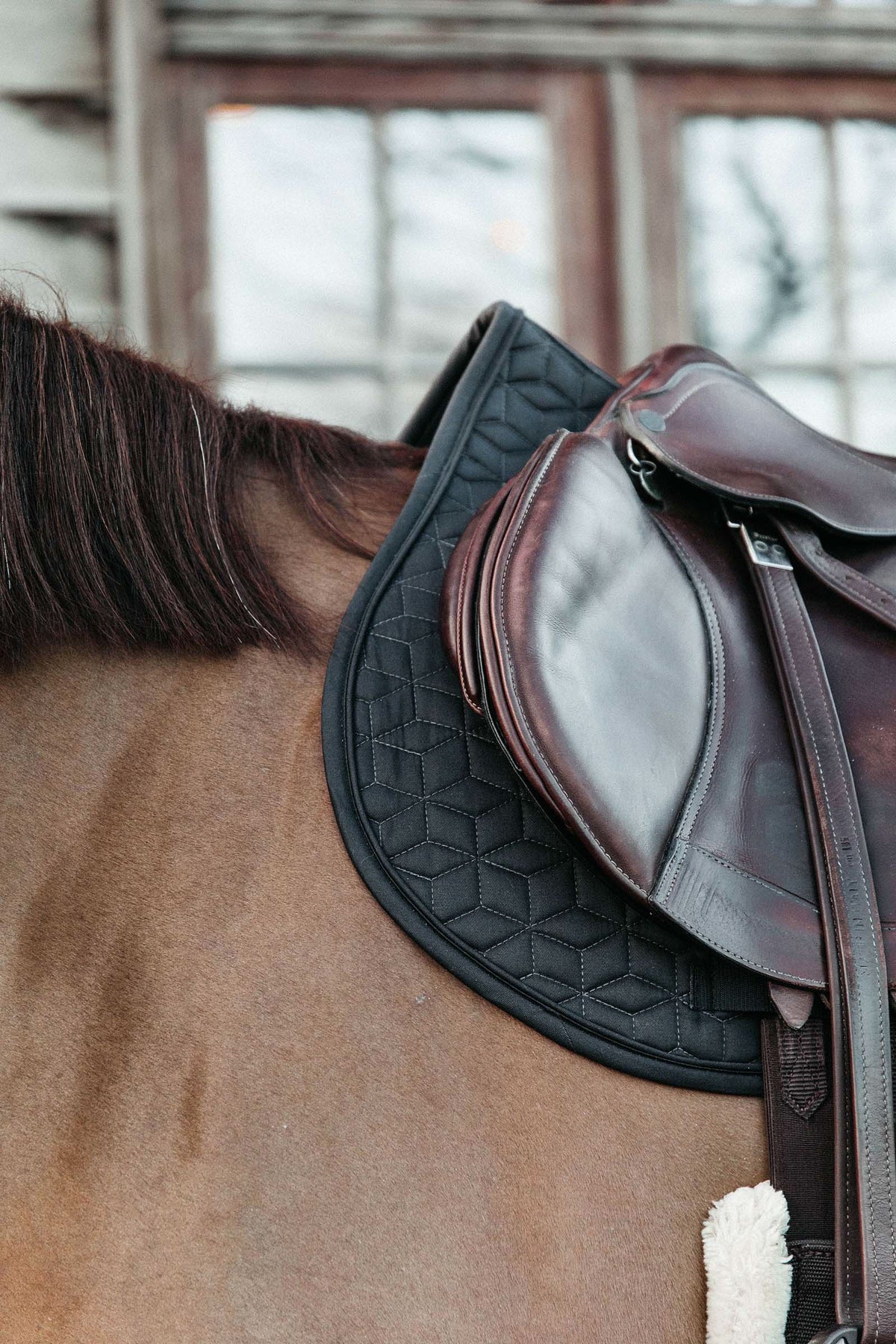 Kentucky Horsewear Basic Jumping Saddle Pad Saddle Pads