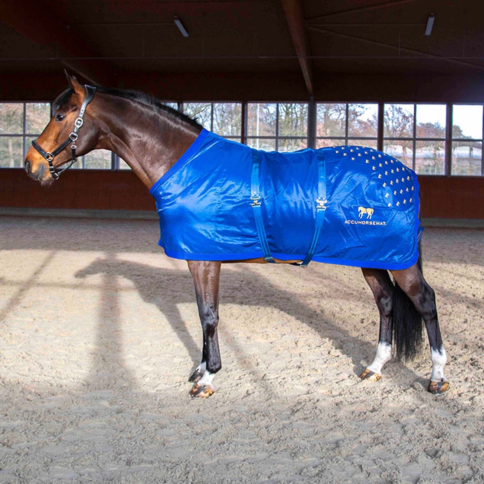Accuhorsemat Set Original Coperte per cavalli