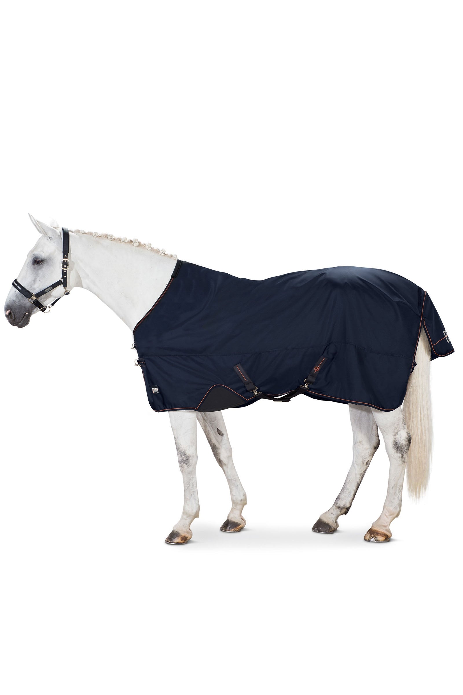 Eskadron Alpha Coperta da turnout, 350 gr Coperte per cavalli
