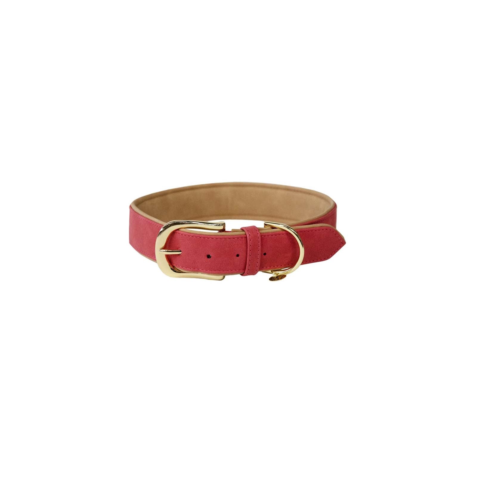Kentucky Horsewear Kentucky Dogwear Collare in morbida pelle vegana Cane