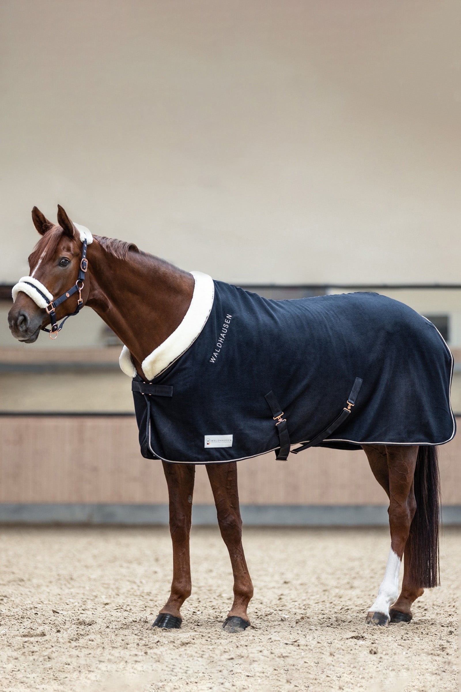 Waldhausen Rosé Modern Coperta In Fleece Coperte per cavalli