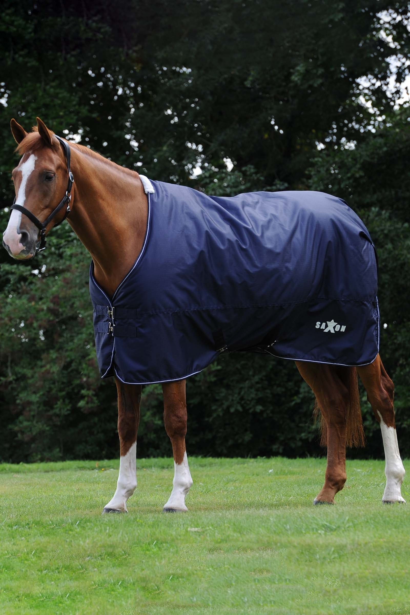Saxon Defiant 600D Coperta da turnout, 0 gr Coperte per cavalli