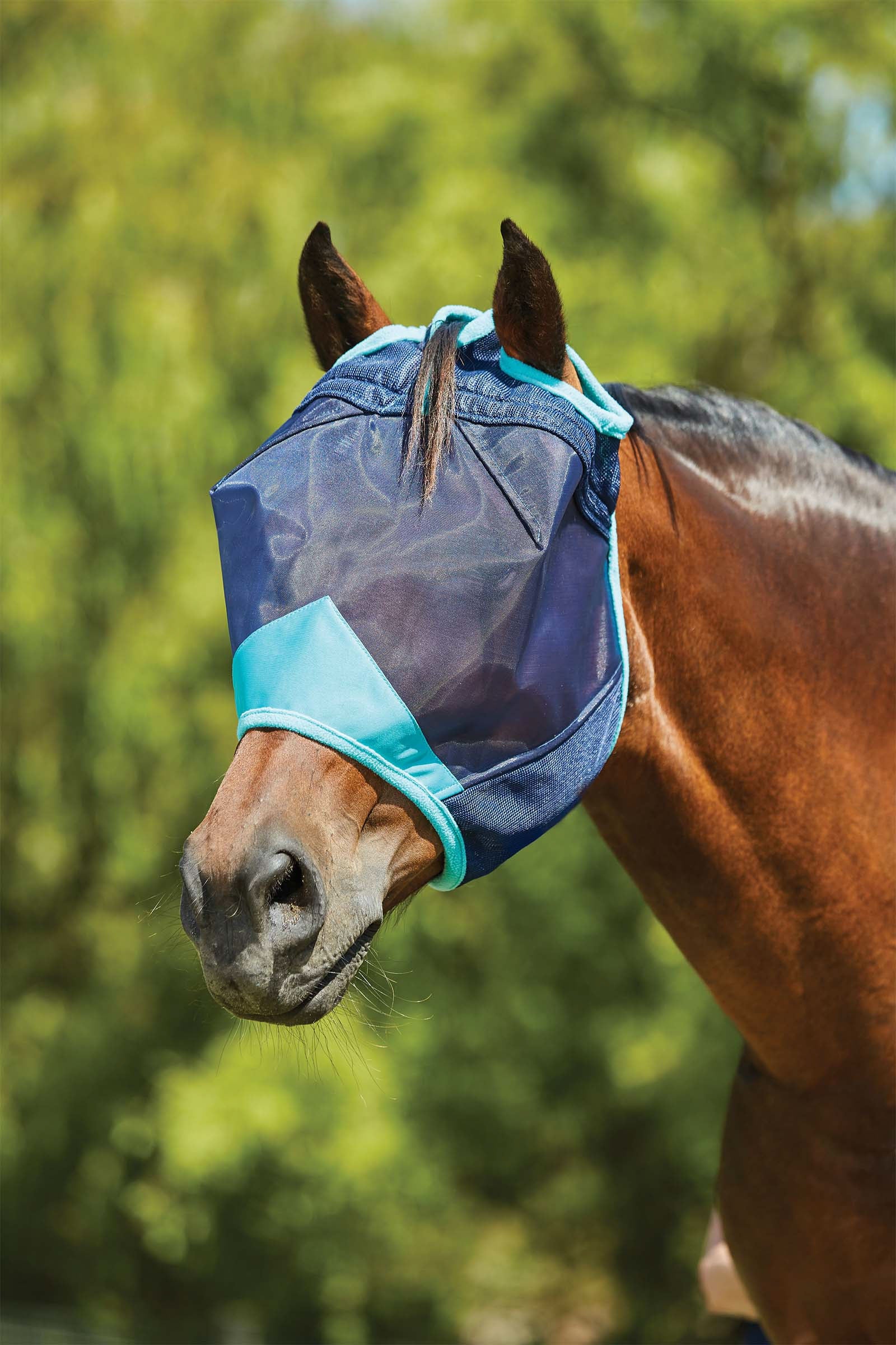 Weatherbeeta Comfitec Deluxe Maschera antimosche a rete sottile Protezione antimosche per cavalli