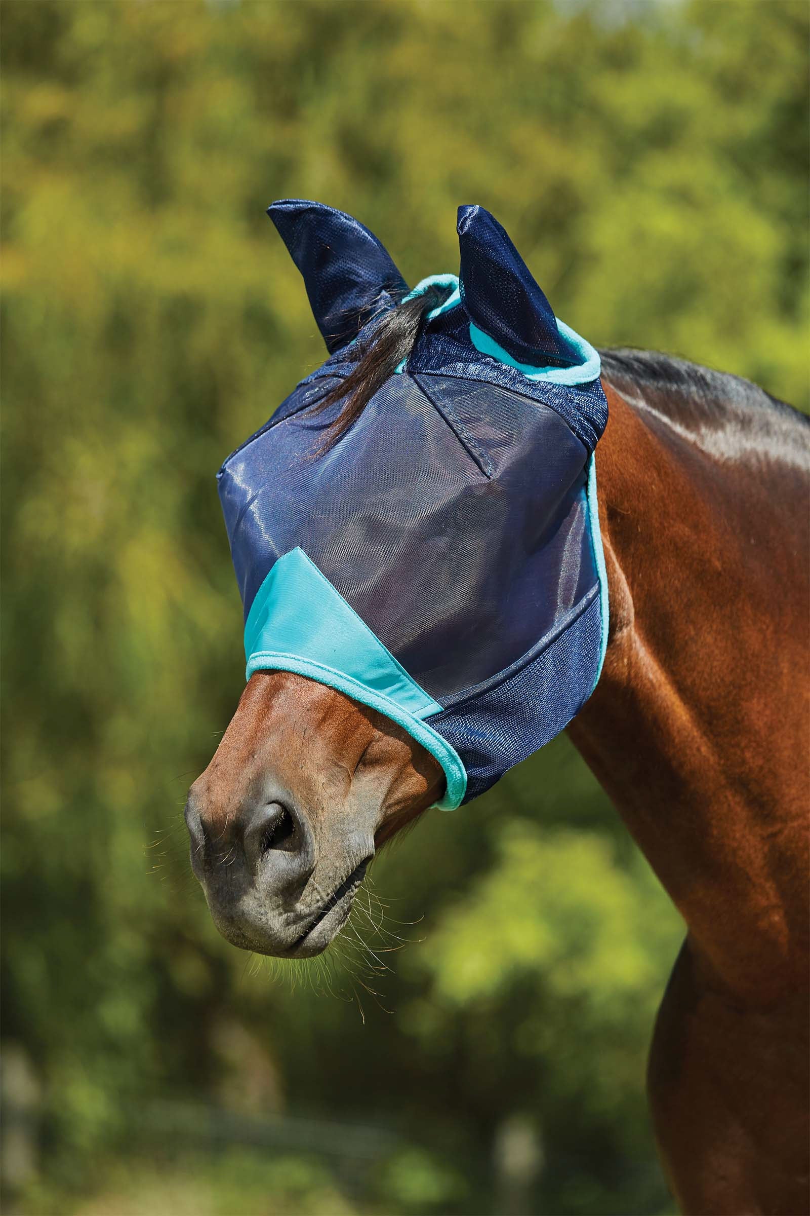 Weatherbeeta Comfitec Deluxe maschera in mesh fine con orecchie Protezione antimosche per cavalli