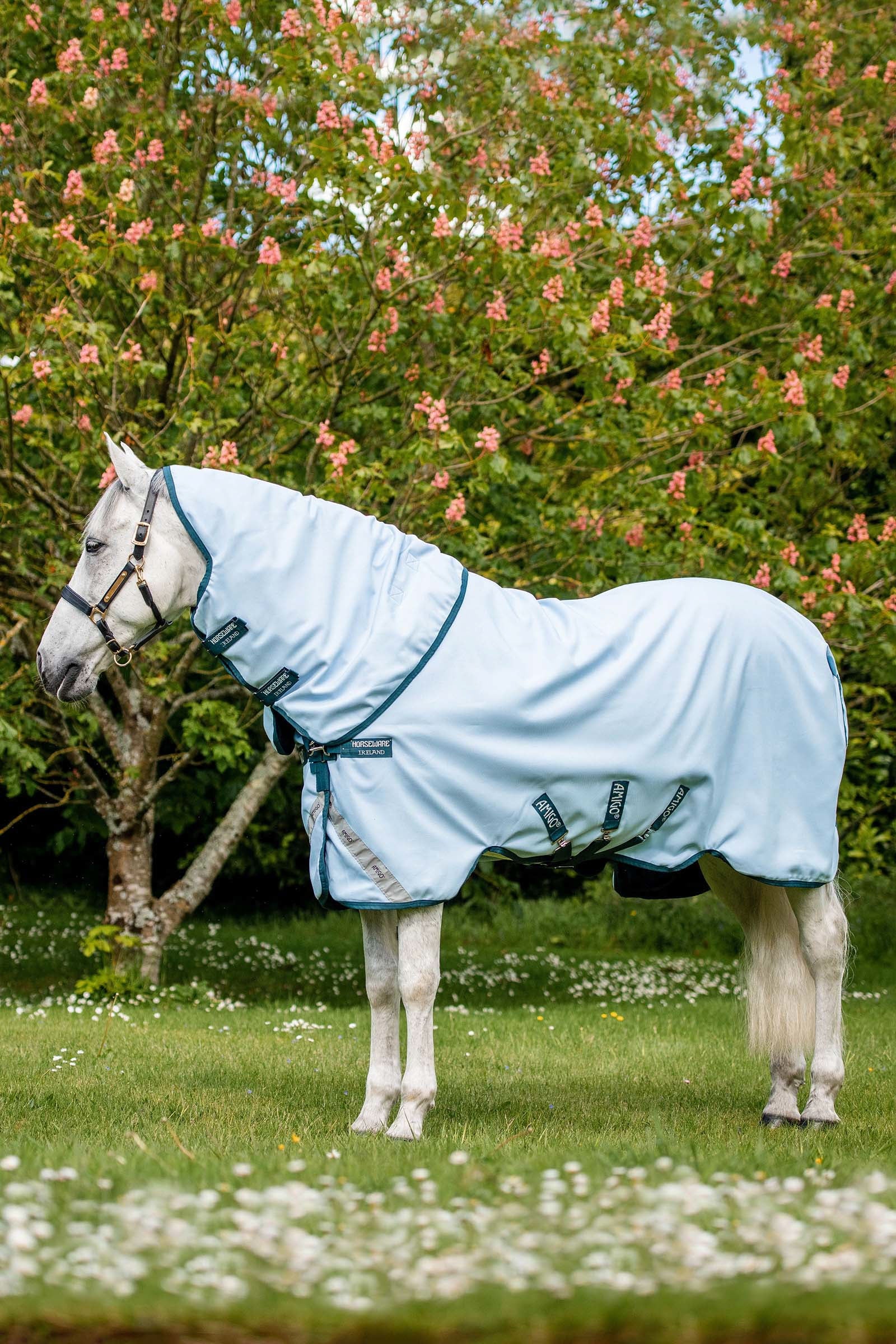 Horseware Amigo Plant Dye Coperta da turnout, 50 gr Coperte per cavalli