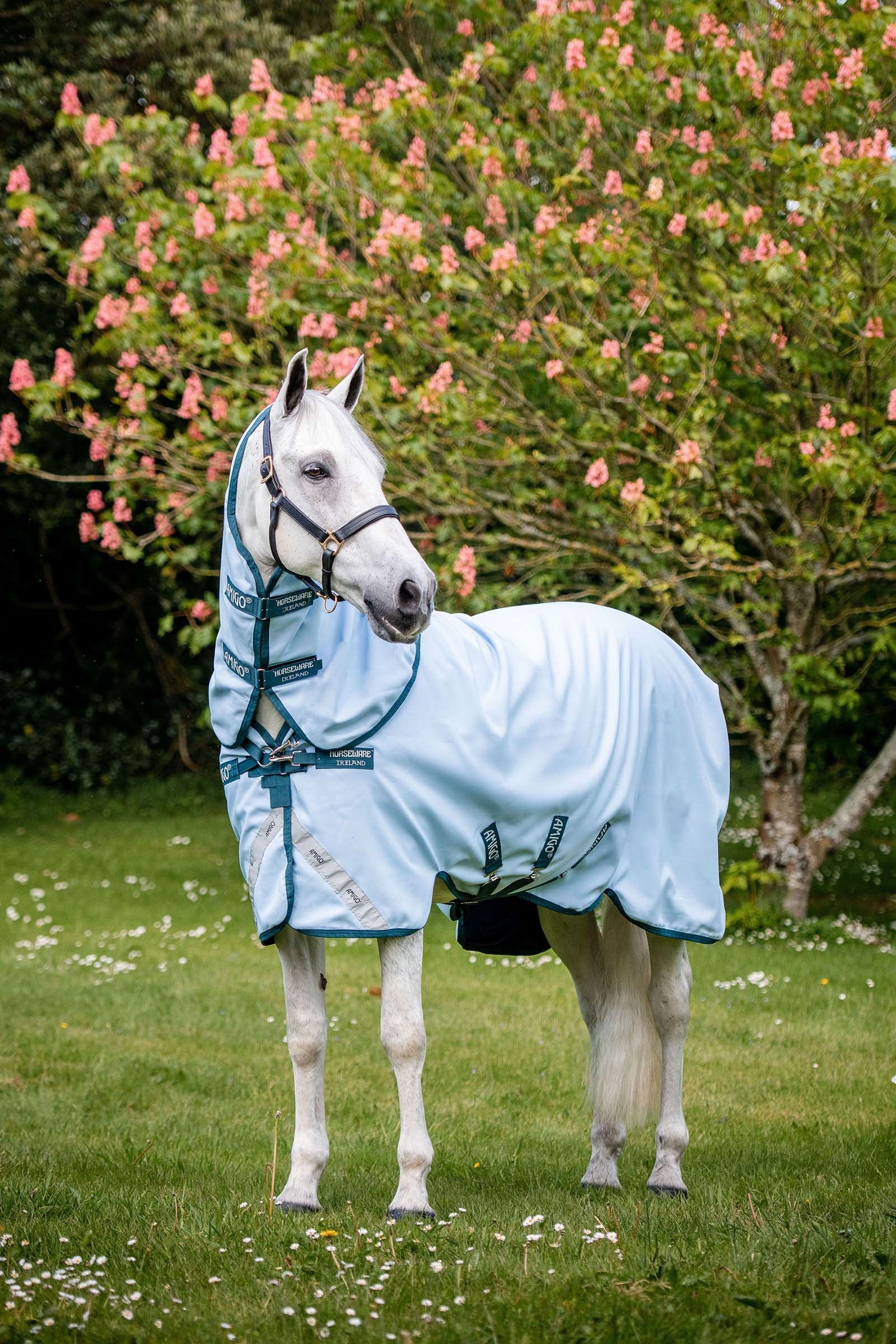 Horseware Amigo Plant Dye Turnout Rug, 50g Horse Rugs