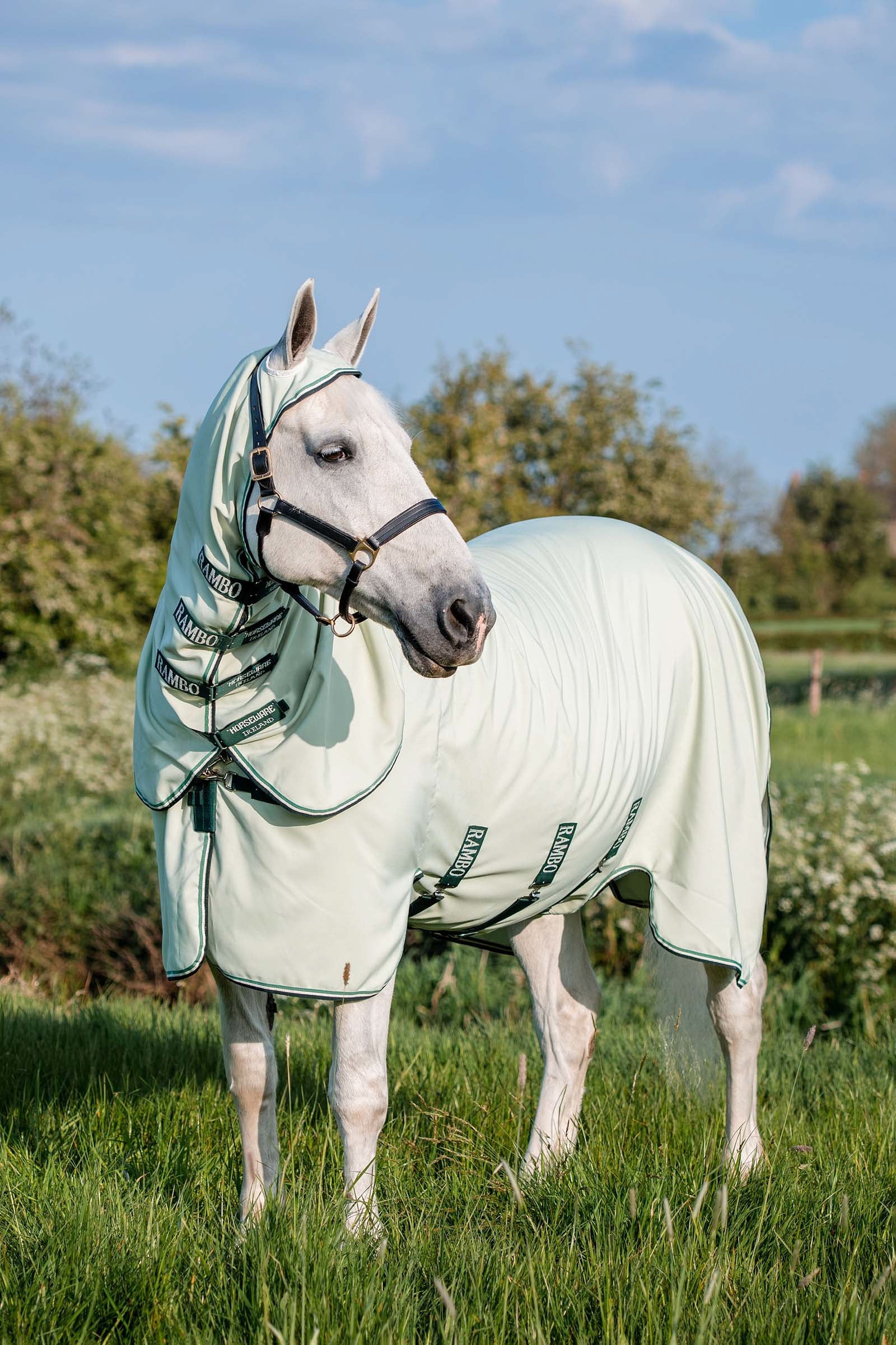 Horseware Rambo Hoody XL Coperte per cavalli