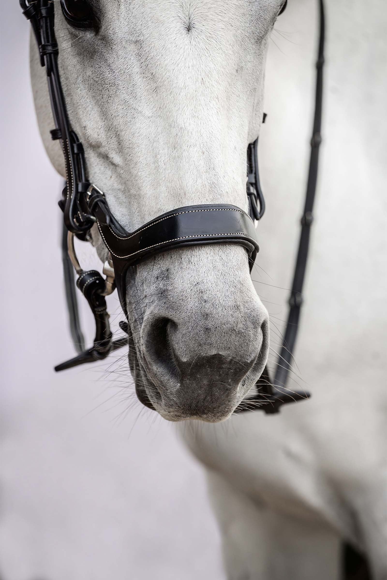 PS of Sweden Pioneer Bridle Bridles & Reins