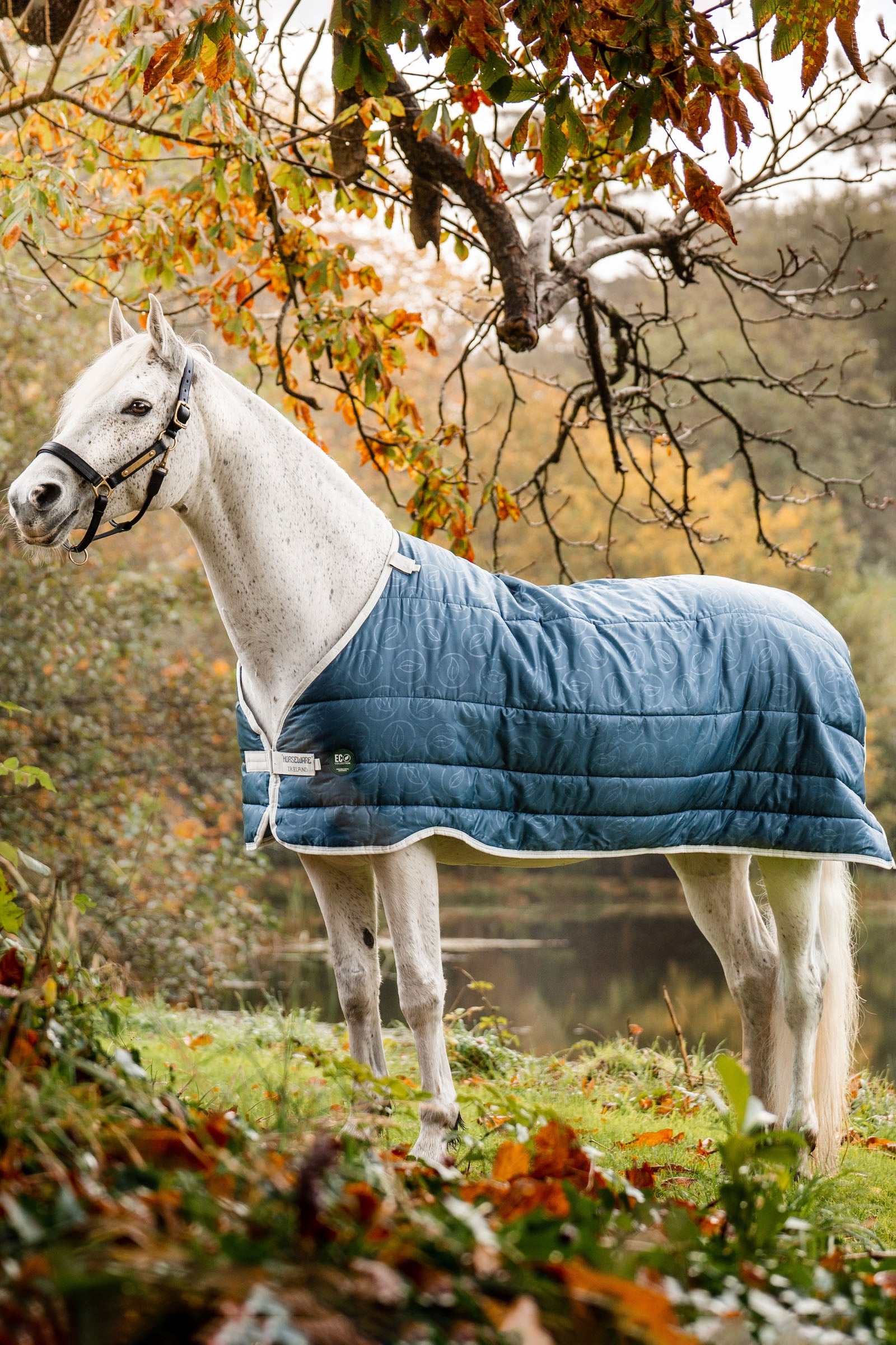Horseware Fodera ecologica, 200 gr Coperte per cavalli