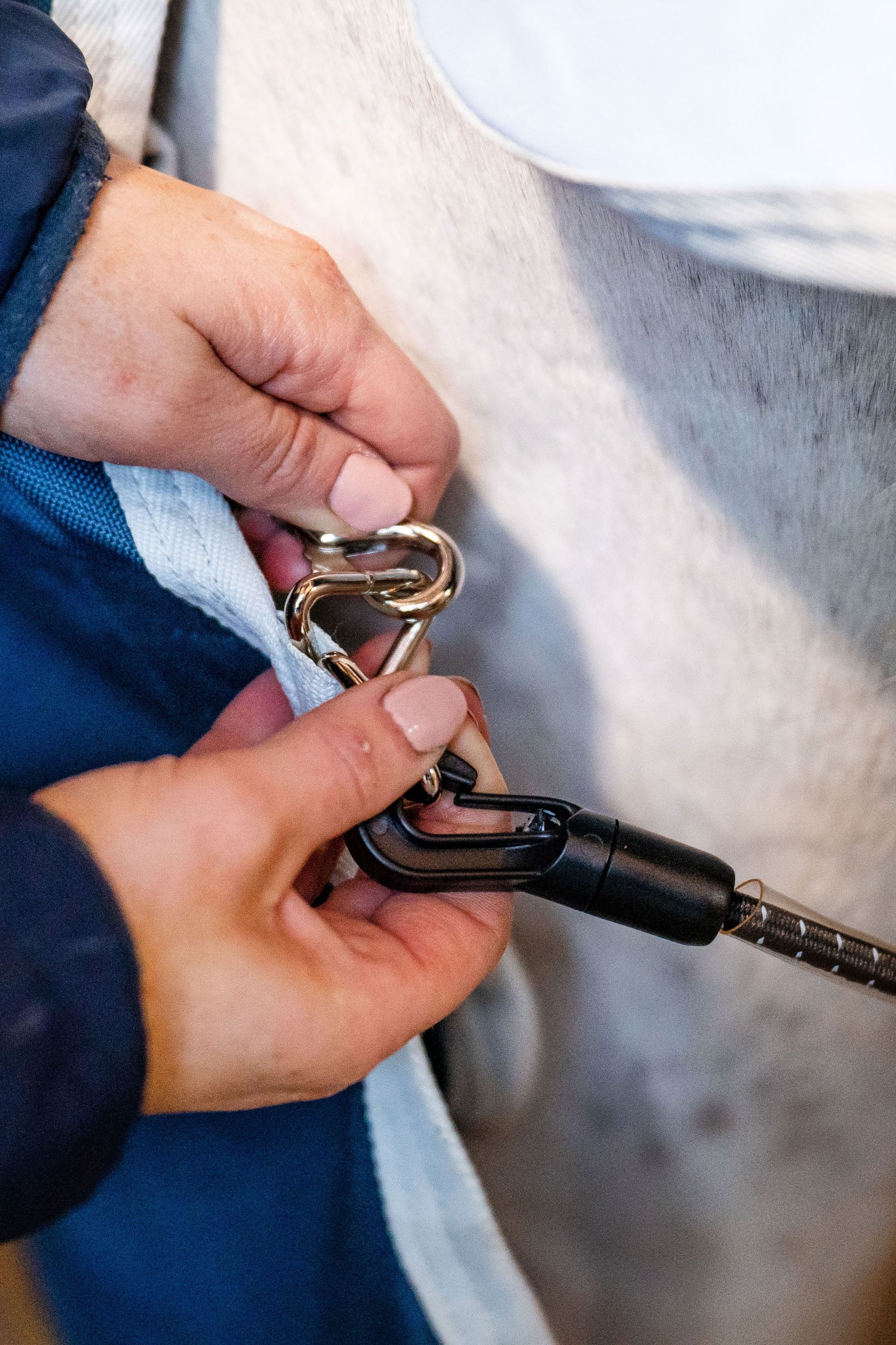 Horseware Eco Liner, 200g Horse Rugs