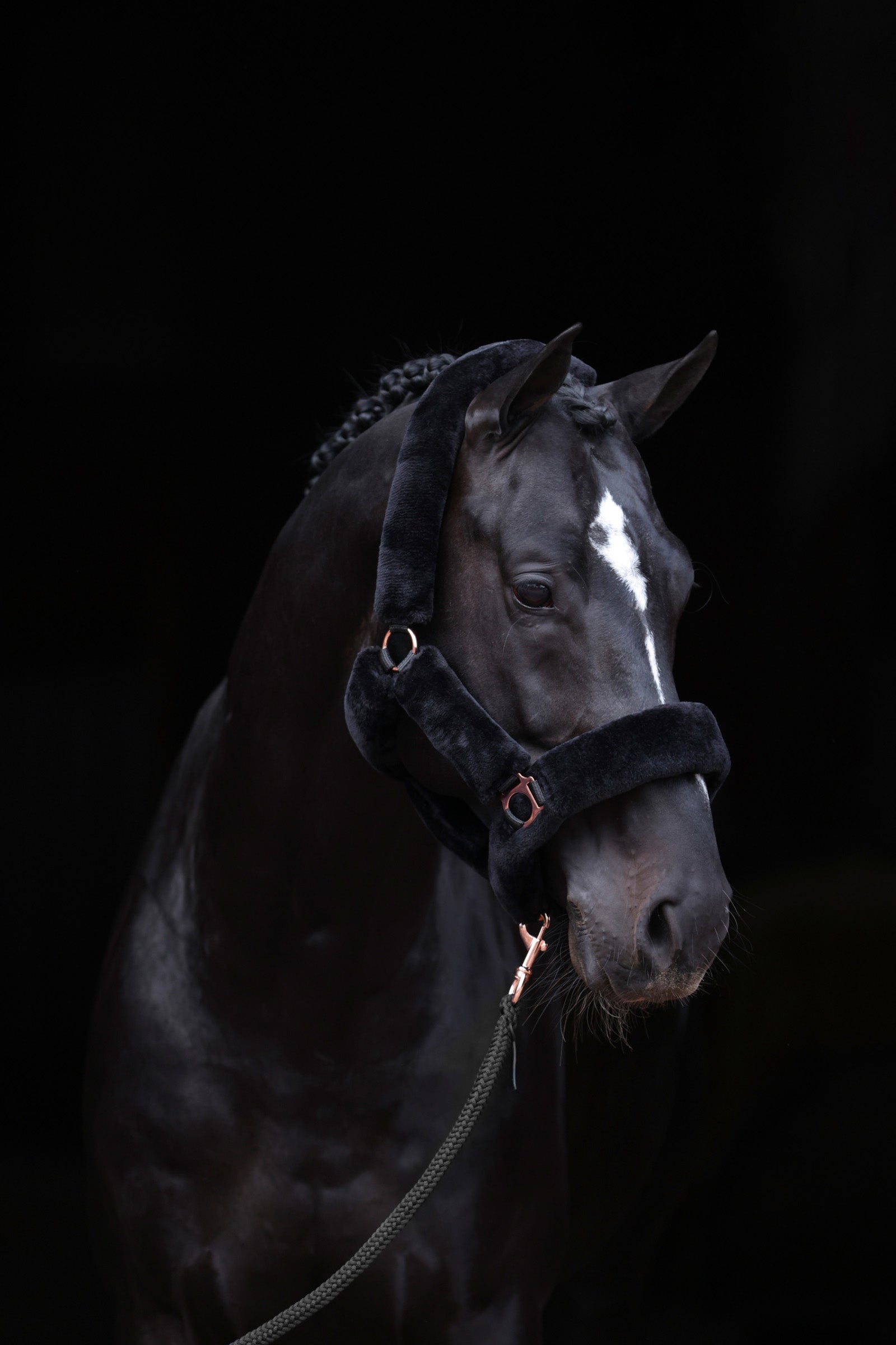 Covalliero SuperSoft Cavezza Cavezze e guinsagli