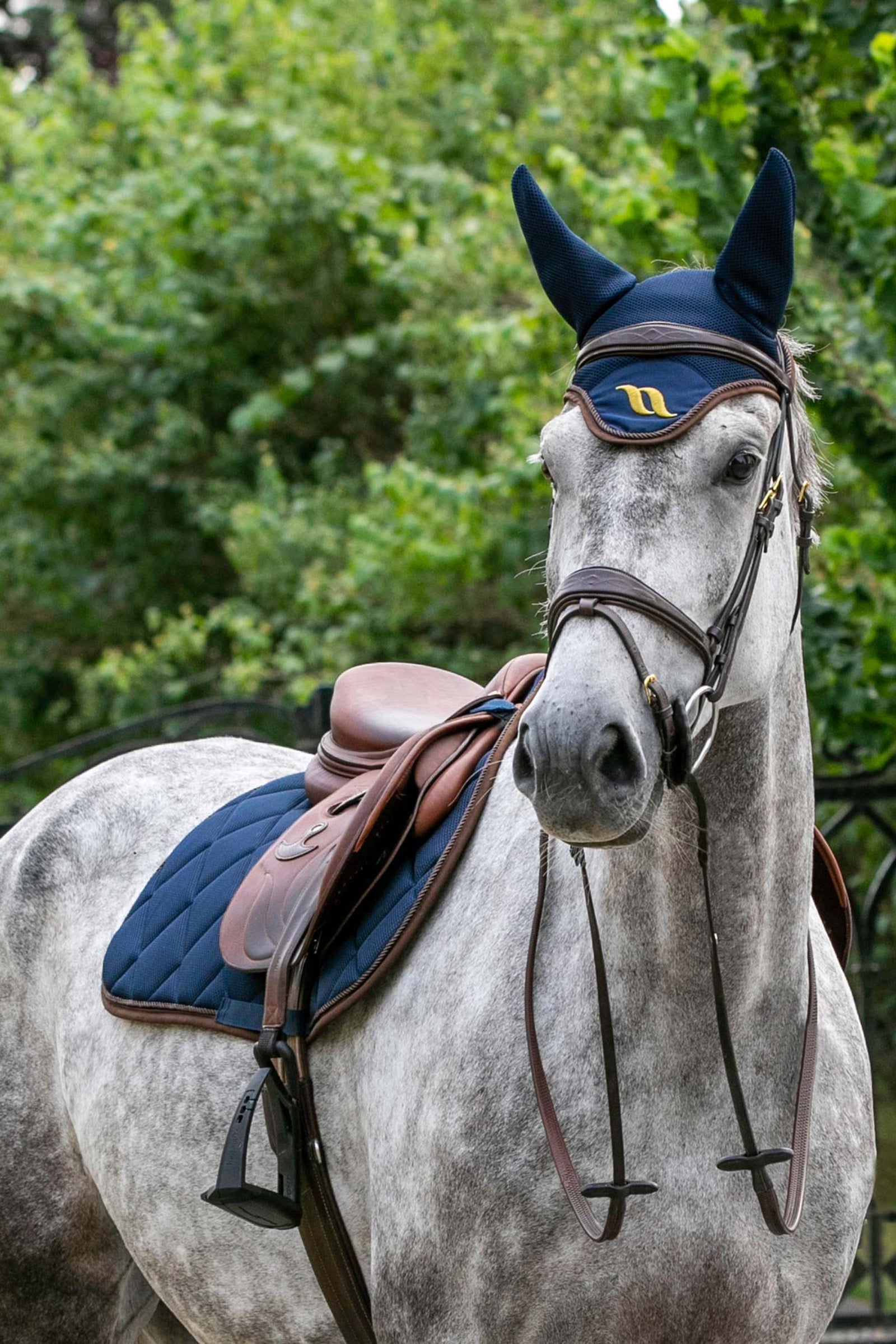 Back on Track Airflow Dressage Saddle Pad Saddle Pads