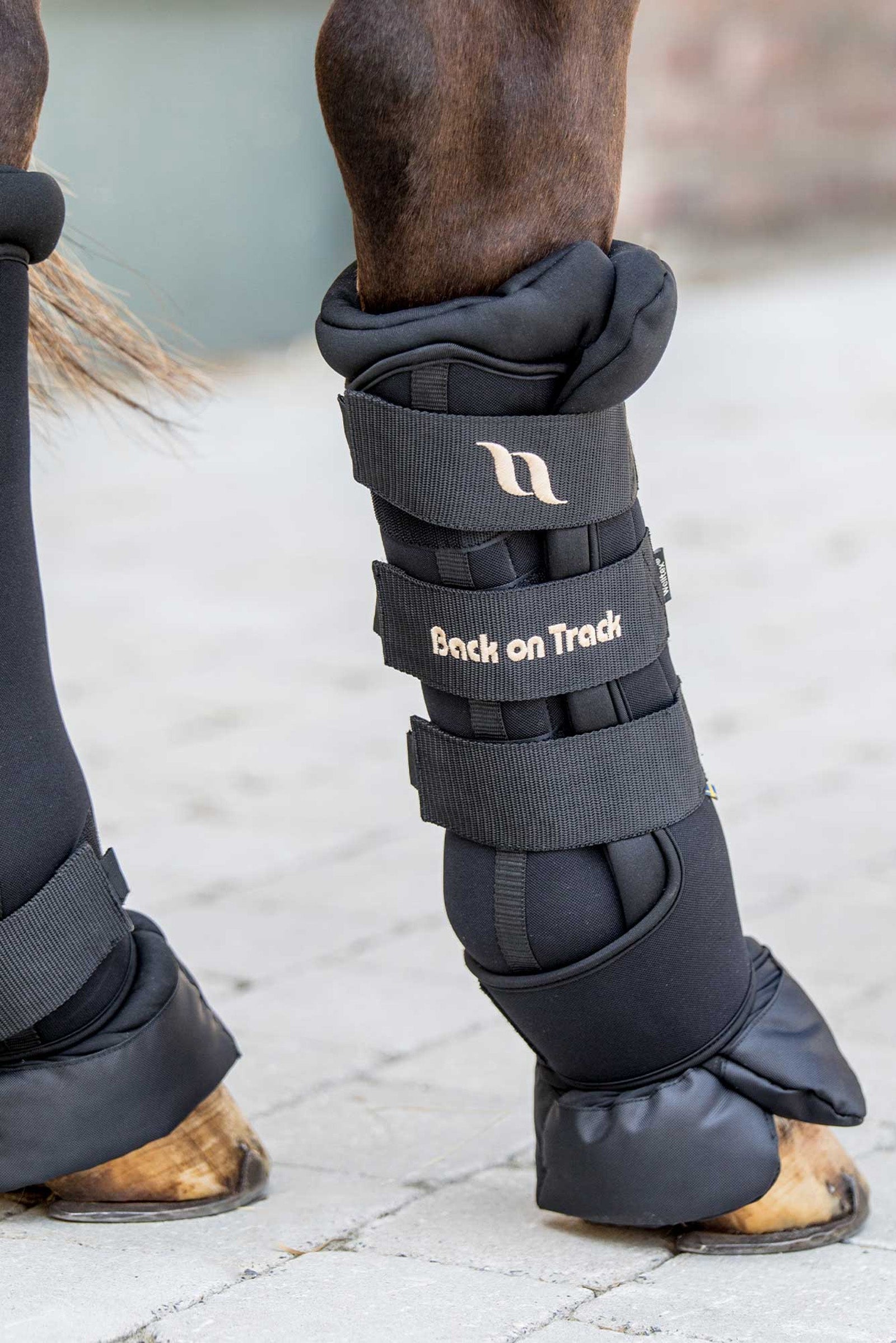 Back on Track Royal Quick Wraps Deluxe (2 pz) Leg Protection & Hoof Protection for Horses