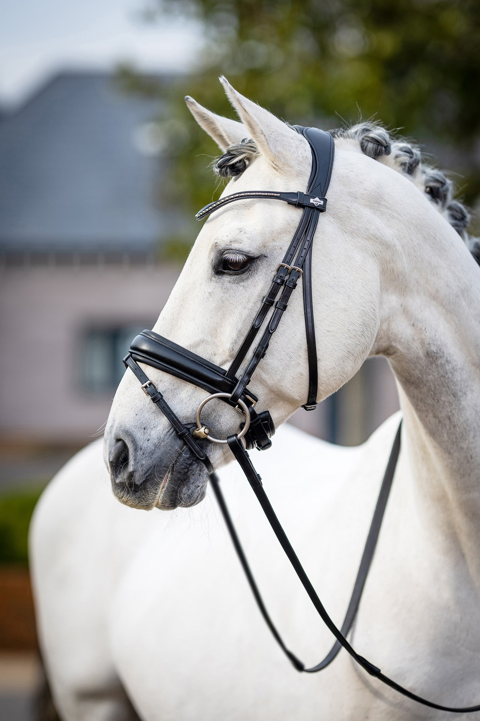 LeMieux Kudos Briglia classica da dressage Briglie & redini