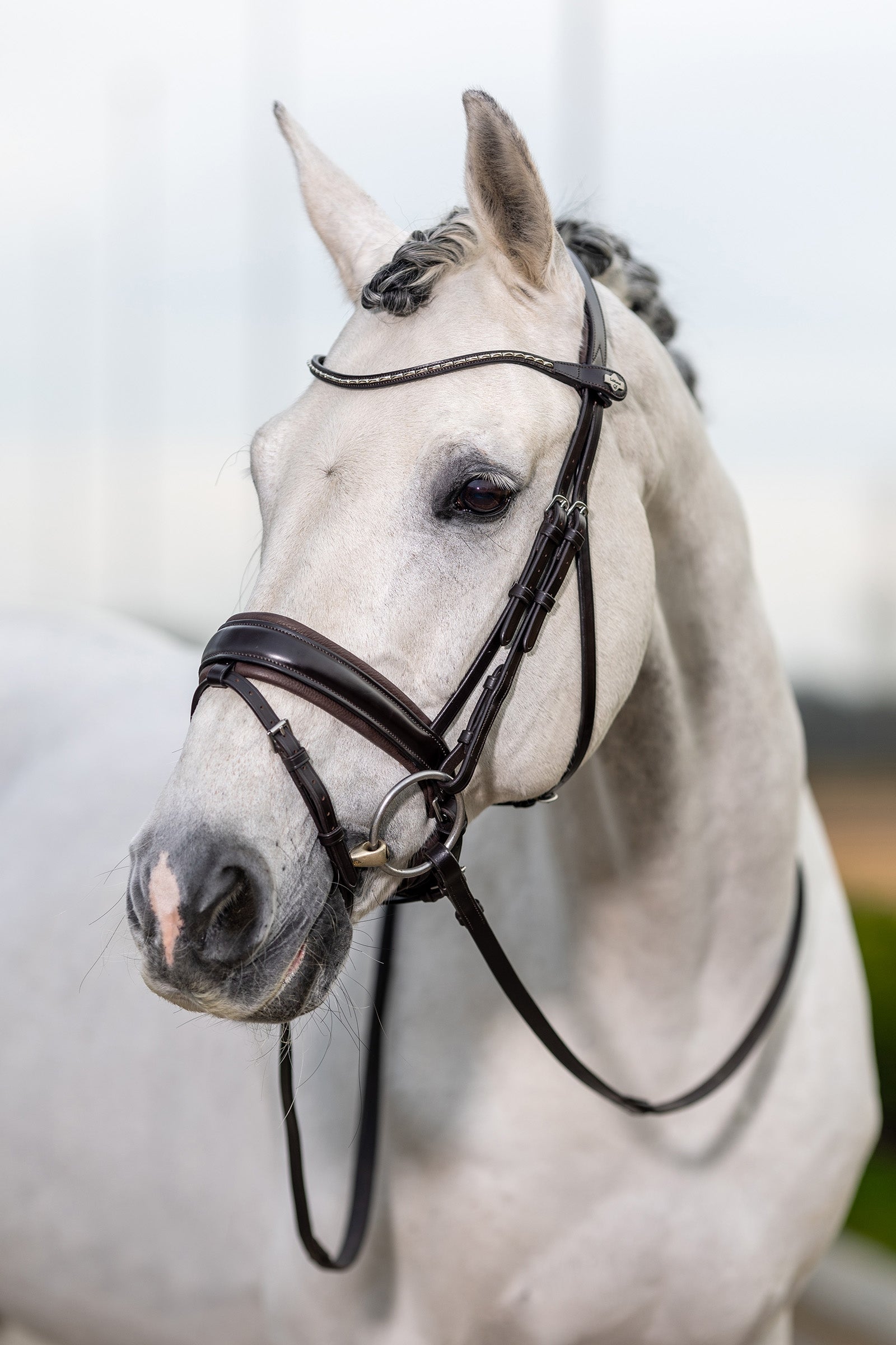 LeMieux Kudos Briglia classica da dressage Briglie & redini