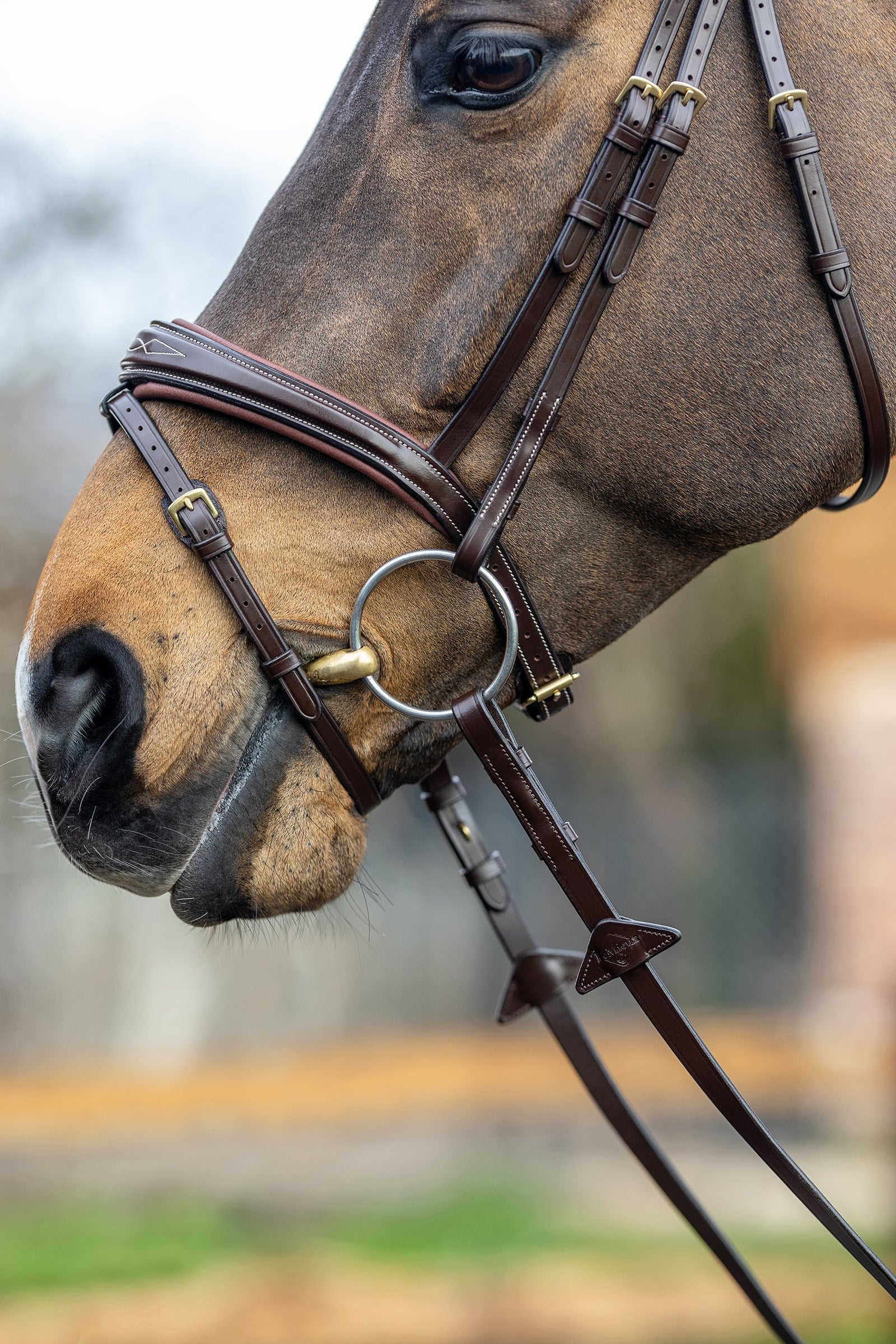 LeMieux Competiton Flash Bridle Bridles & Reins