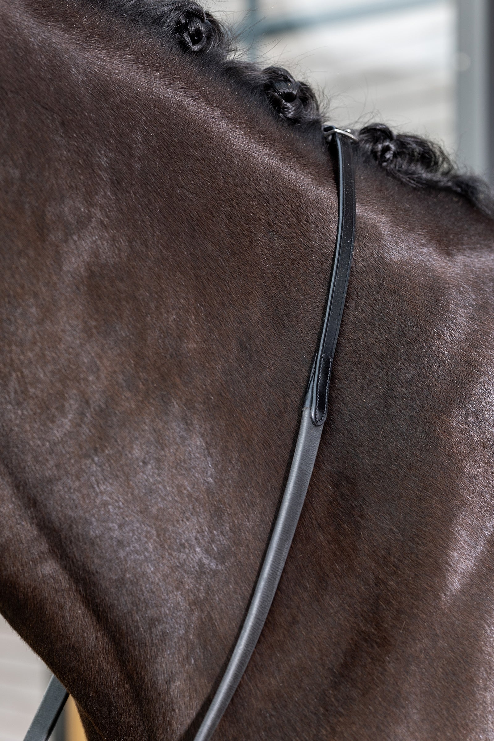 LeMieux Kris Extreme Redini in gomma Briglie & redini