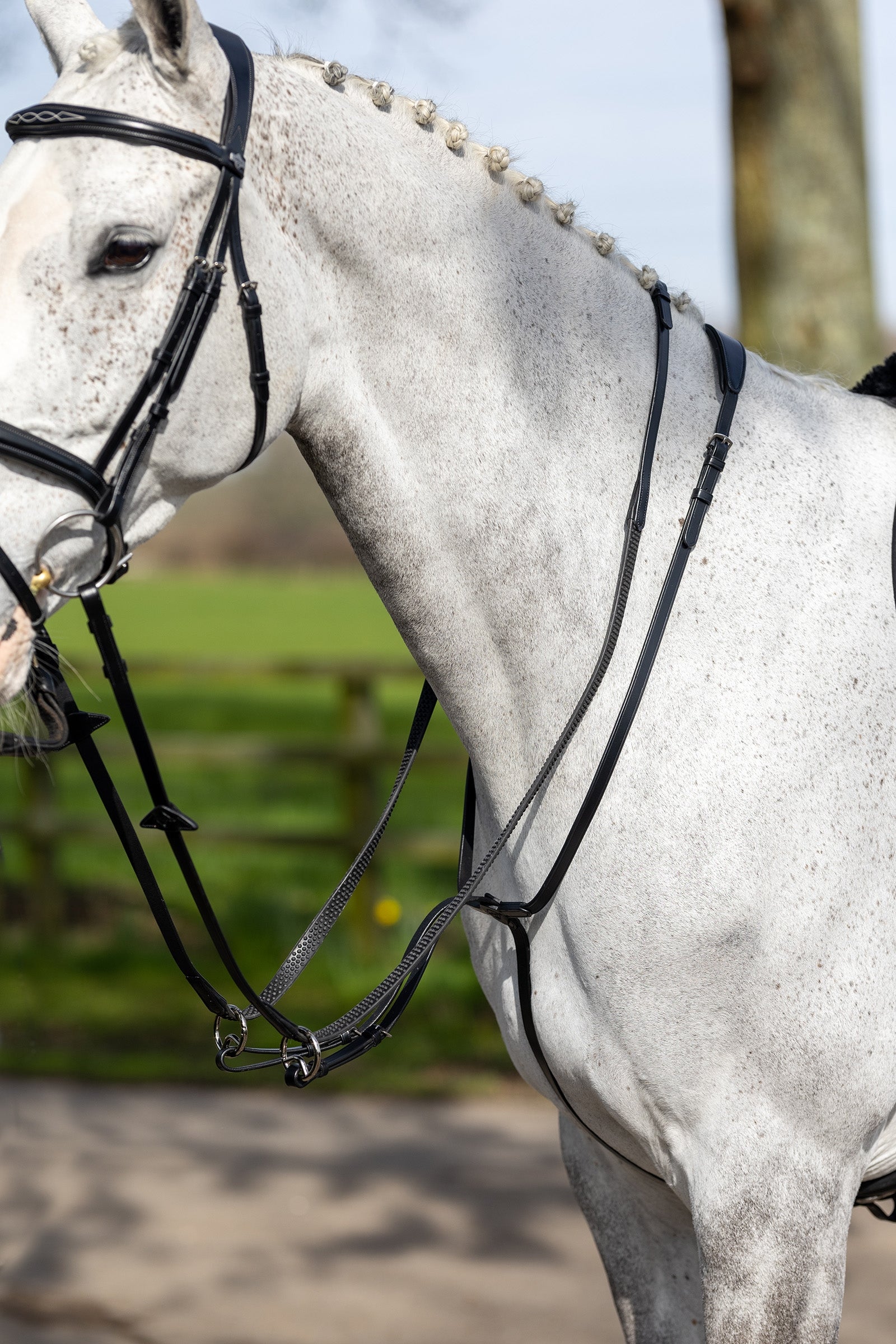 LeMieux Running Martingale Briglie & redini