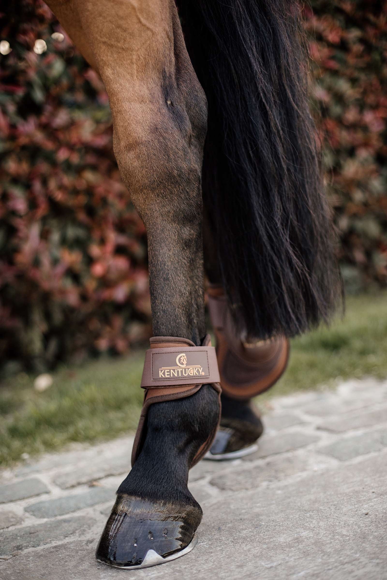 Kentucky Horsewear Deep Fetlock Boots Leg Protection & Hoof Protection for Horses