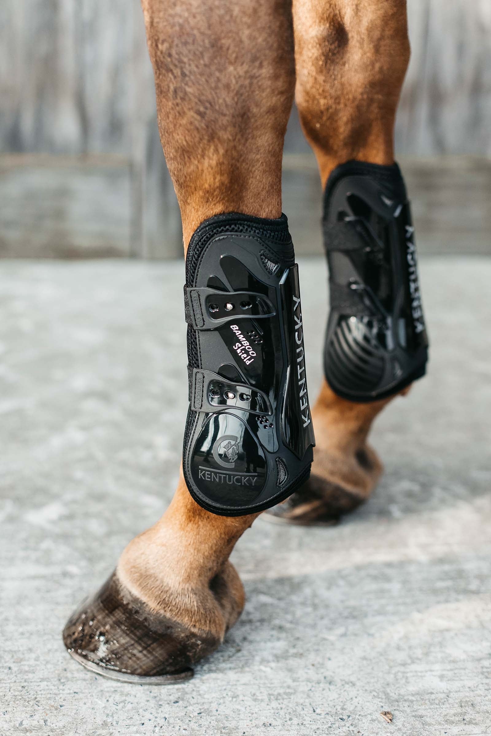 Kentucky Horsewear Bamboo Stivali elasticizzati paratendini Leg Protection & Hoof Protection for Horses