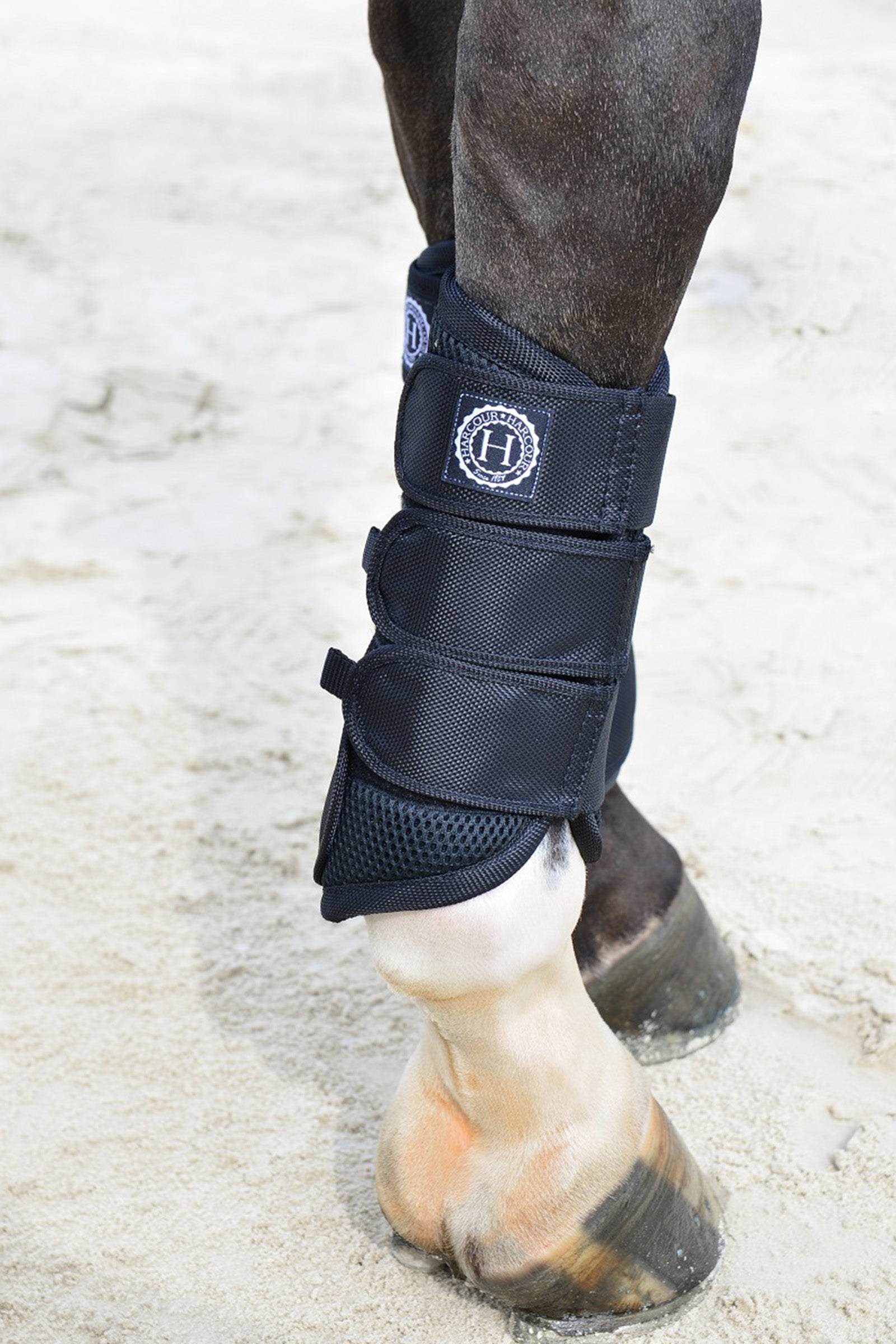 Harcour Cosmic Mesh Tendine Boots Leg Protection & Hoof Protection for Horses