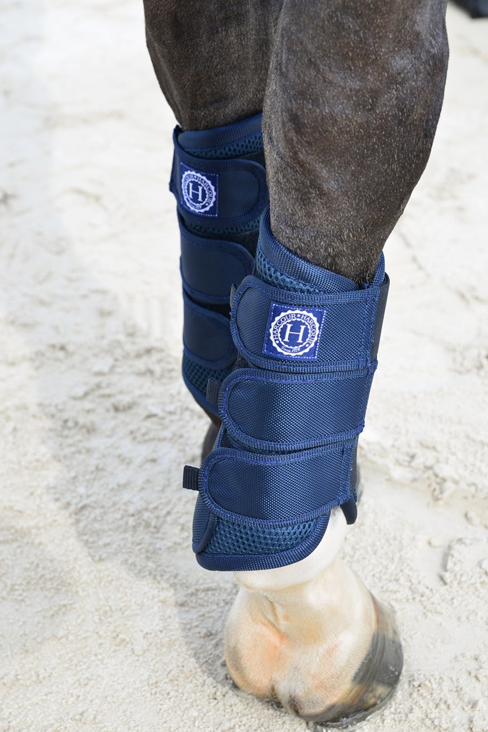 Harcour Cosmic Mesh Tendine Boots Leg Protection & Hoof Protection for Horses