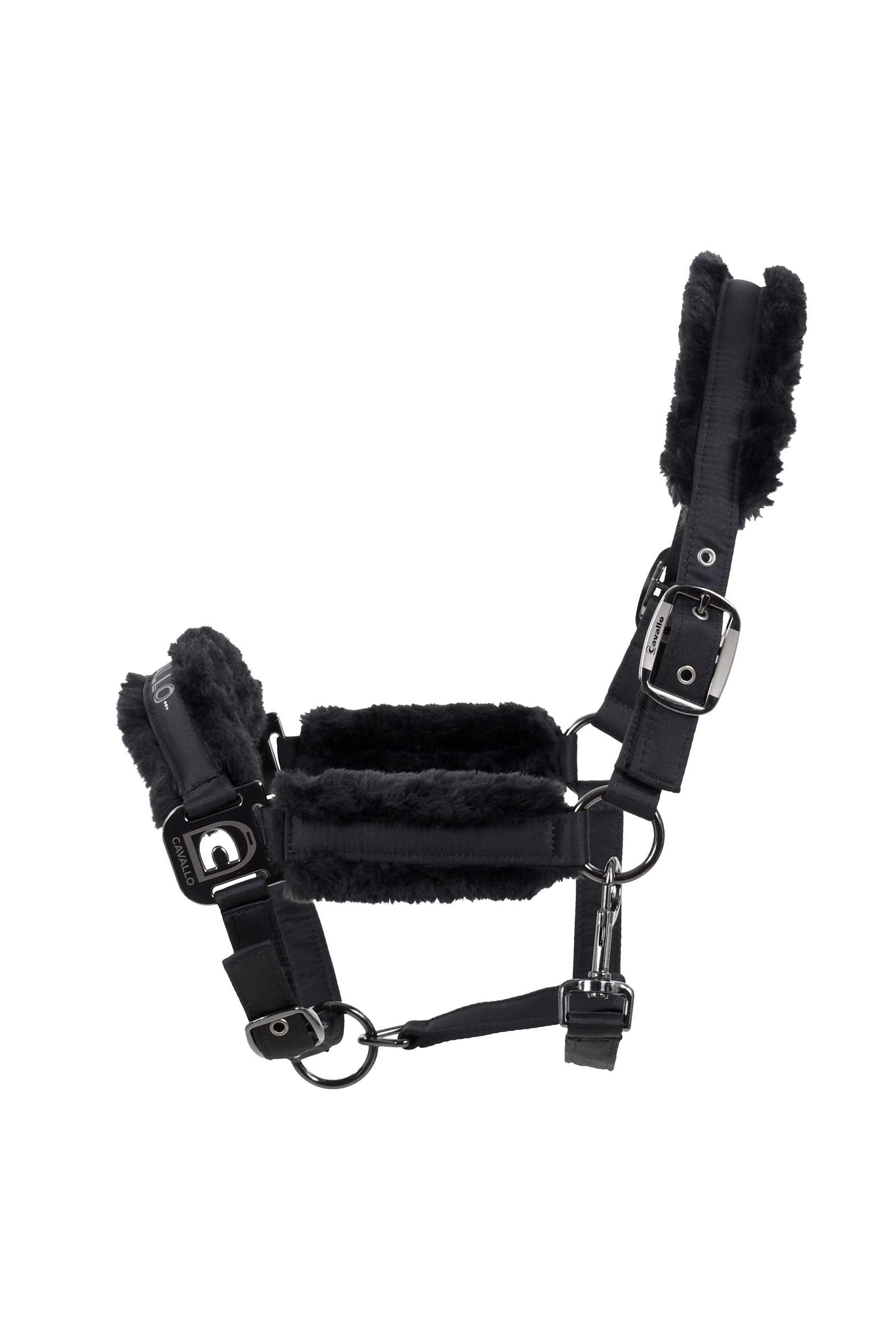 Cavallo CavalHafida Capezza Cavezze e guinsagli