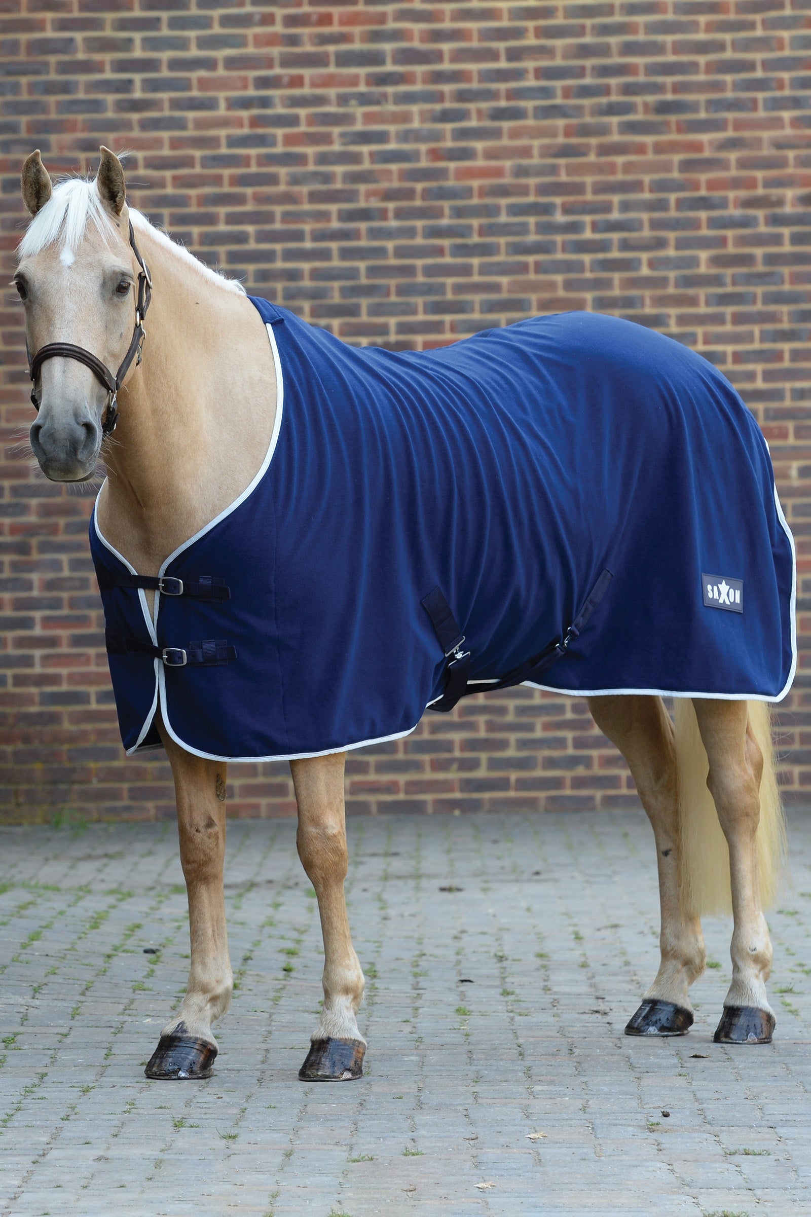 Saxon Coperta in pile Coperte per cavalli