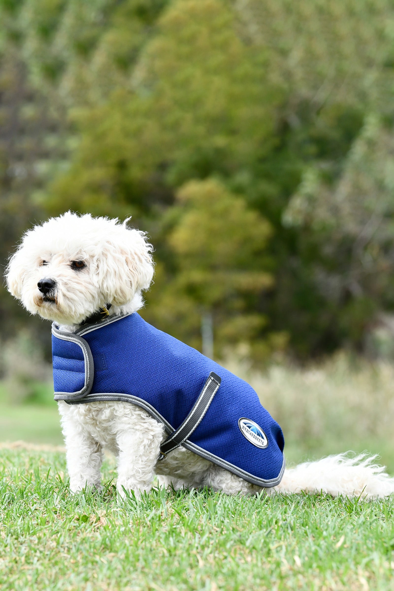 Weatherbeeta Comfitec Premier Free Parka Cappotto per cani medio, 220 gr Cane