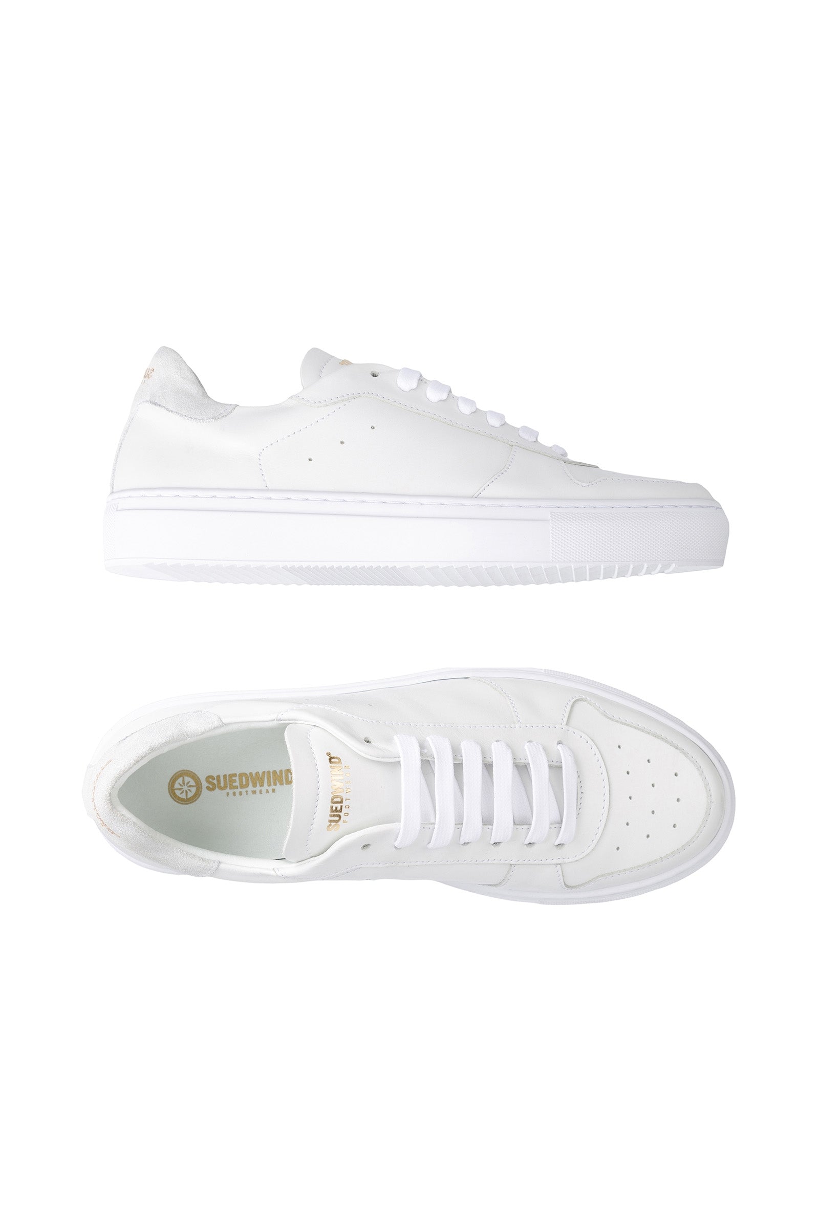 Suedwind Footwear Sneakers in Pelle Copenhagen Calzature