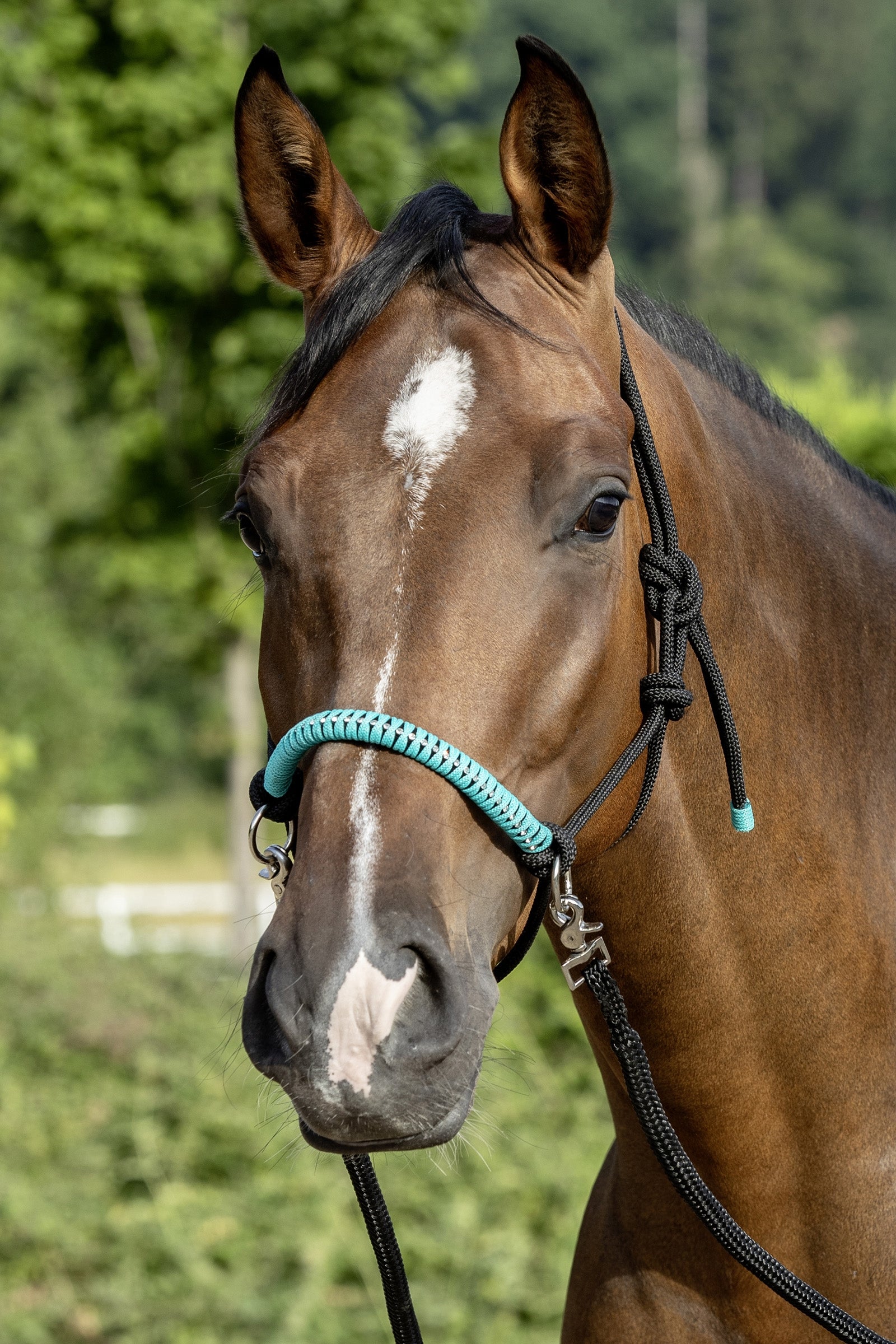 USG Knotted Rope Halter with Reins Cavezze e guinsagli