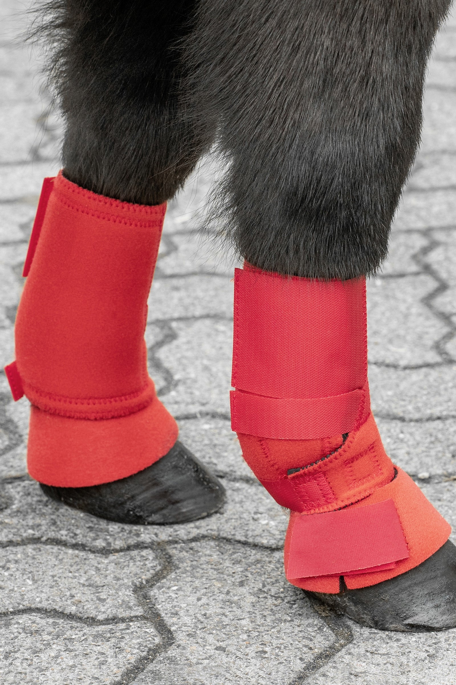 USG Shetty Protezioni da addestramento Leg Protection & Hoof Protection for Horses