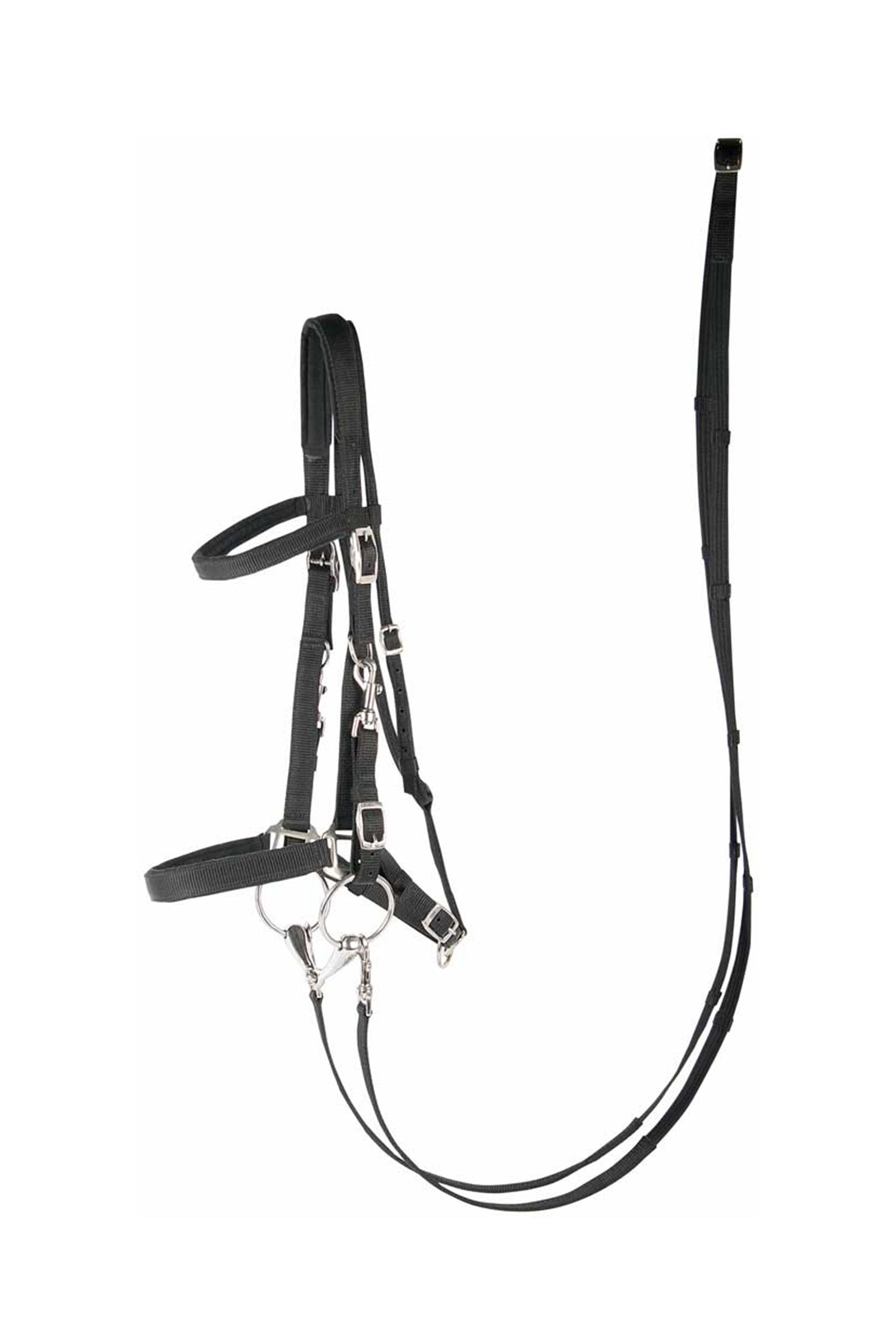 Harry's Horse Briglia e capezza del cavallo di Harry Cavezze e guinsagli