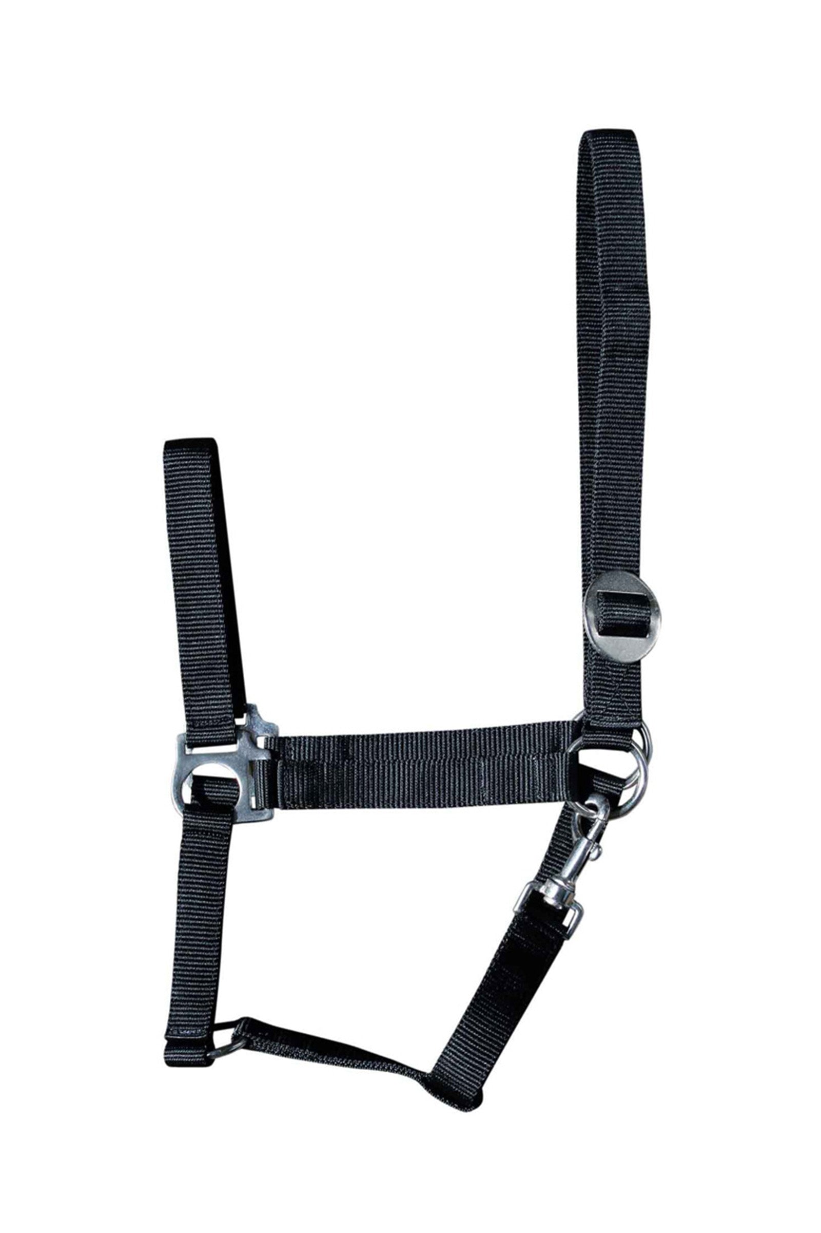 Harry's Horse Capezza Economy Cavezze e guinsagli