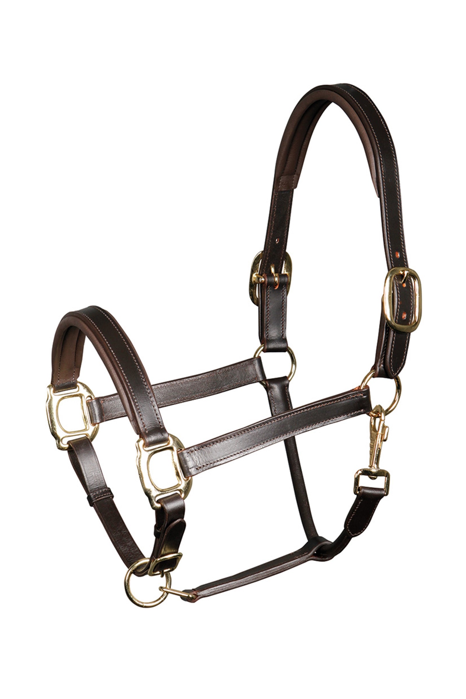 Harry's Horse Capezza in pelle imbottita di cavallo di Harry Cavezze e guinsagli