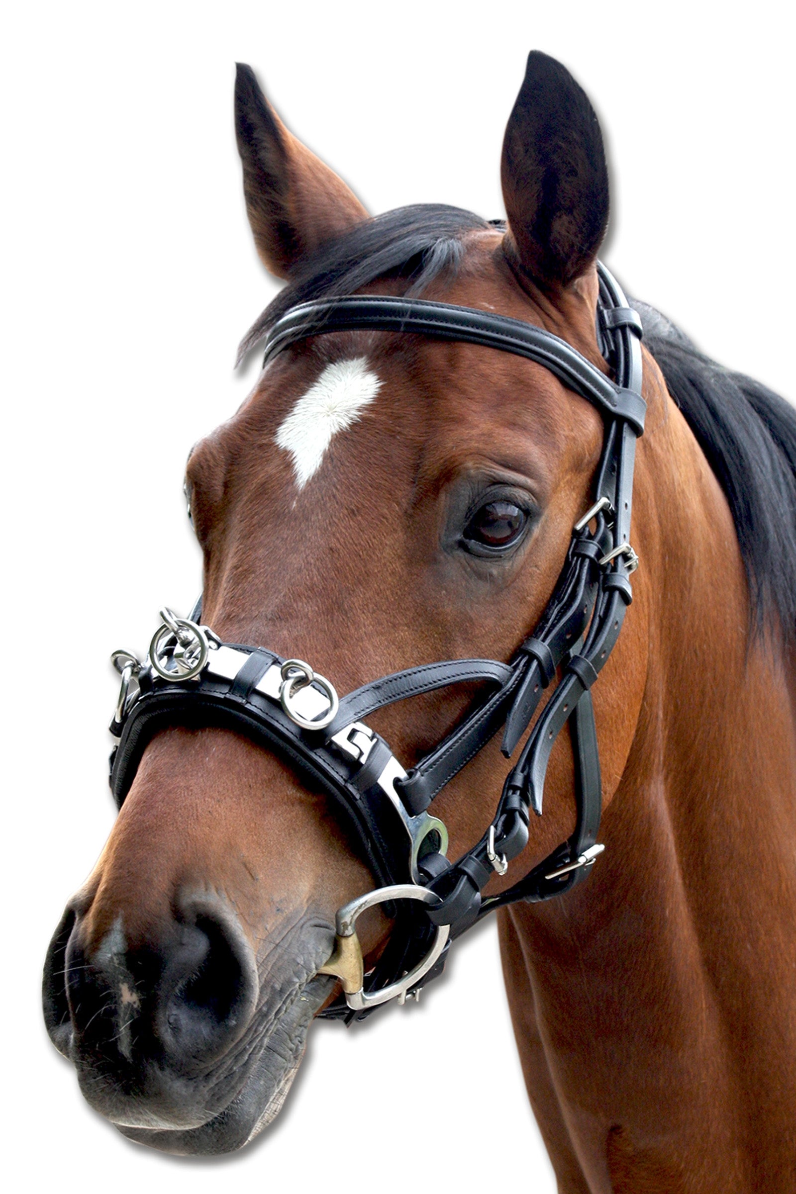 Waldhausen Capezzone In Cuoio Addestramento del cavallo