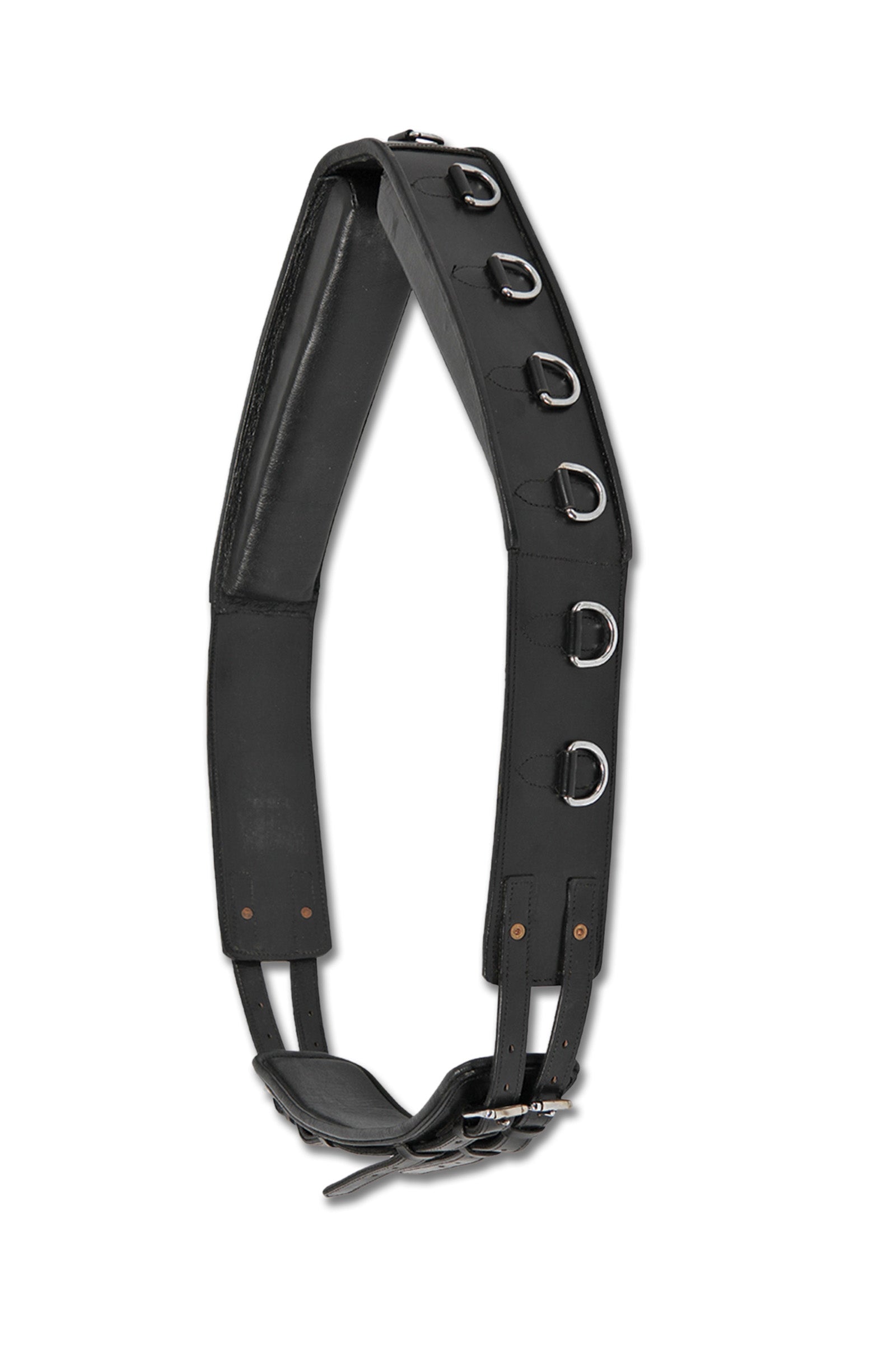 Waldhausen Fascione Per Longia, Cuoio Addestramento del cavallo