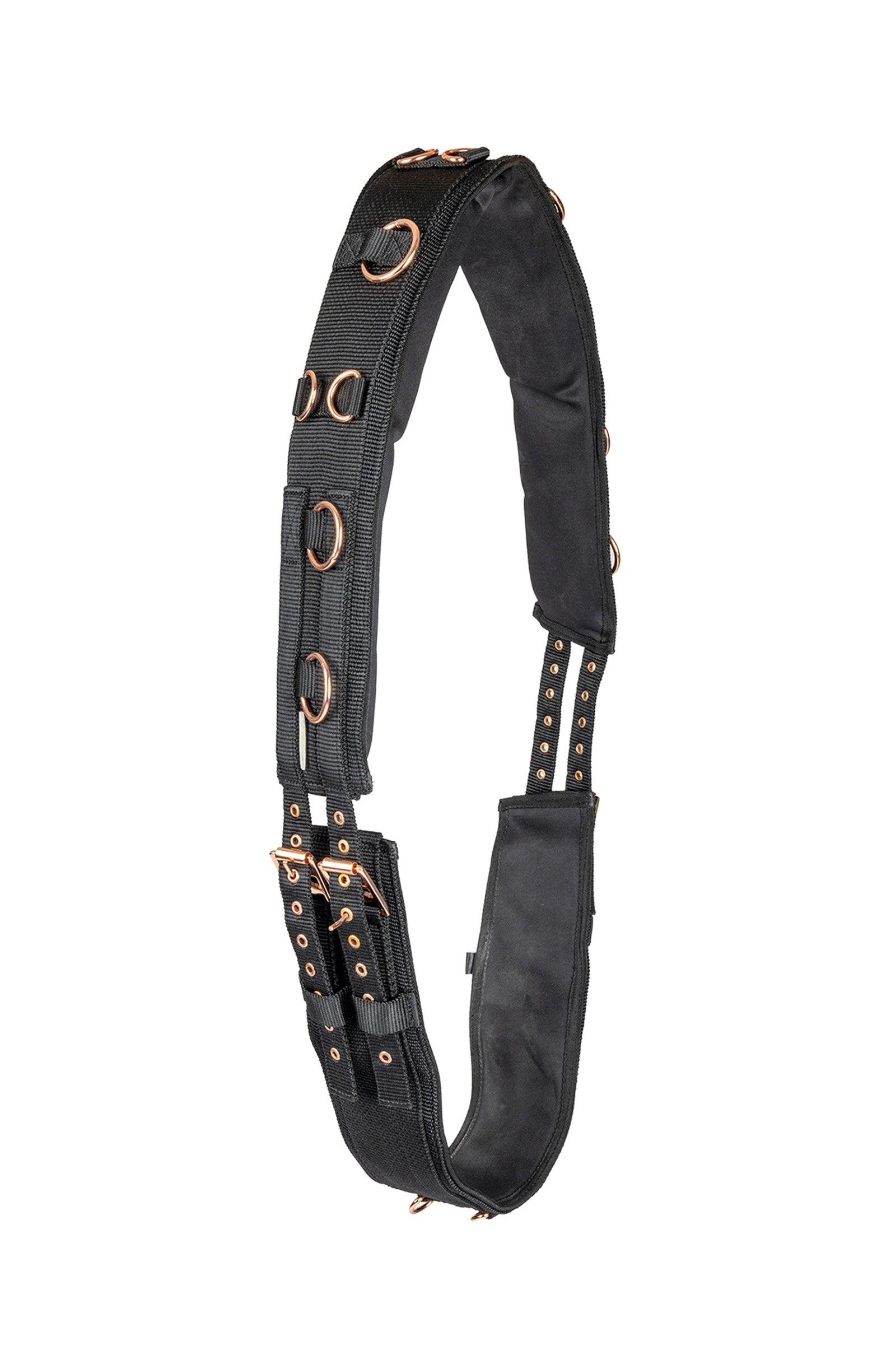 Waldhausen Rosé Fascione Per Longia Addestramento del cavallo