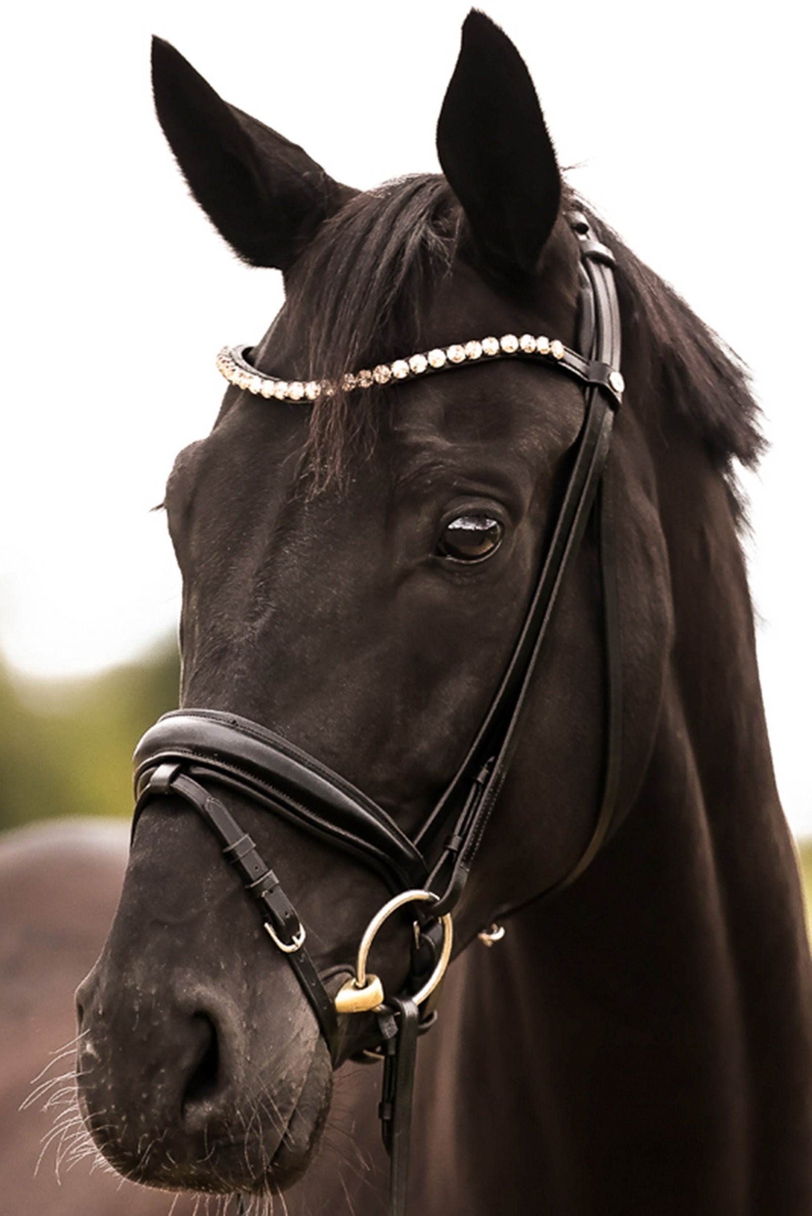 Kavalkade Briglia Fortuna KavalSH4 Briglie & redini