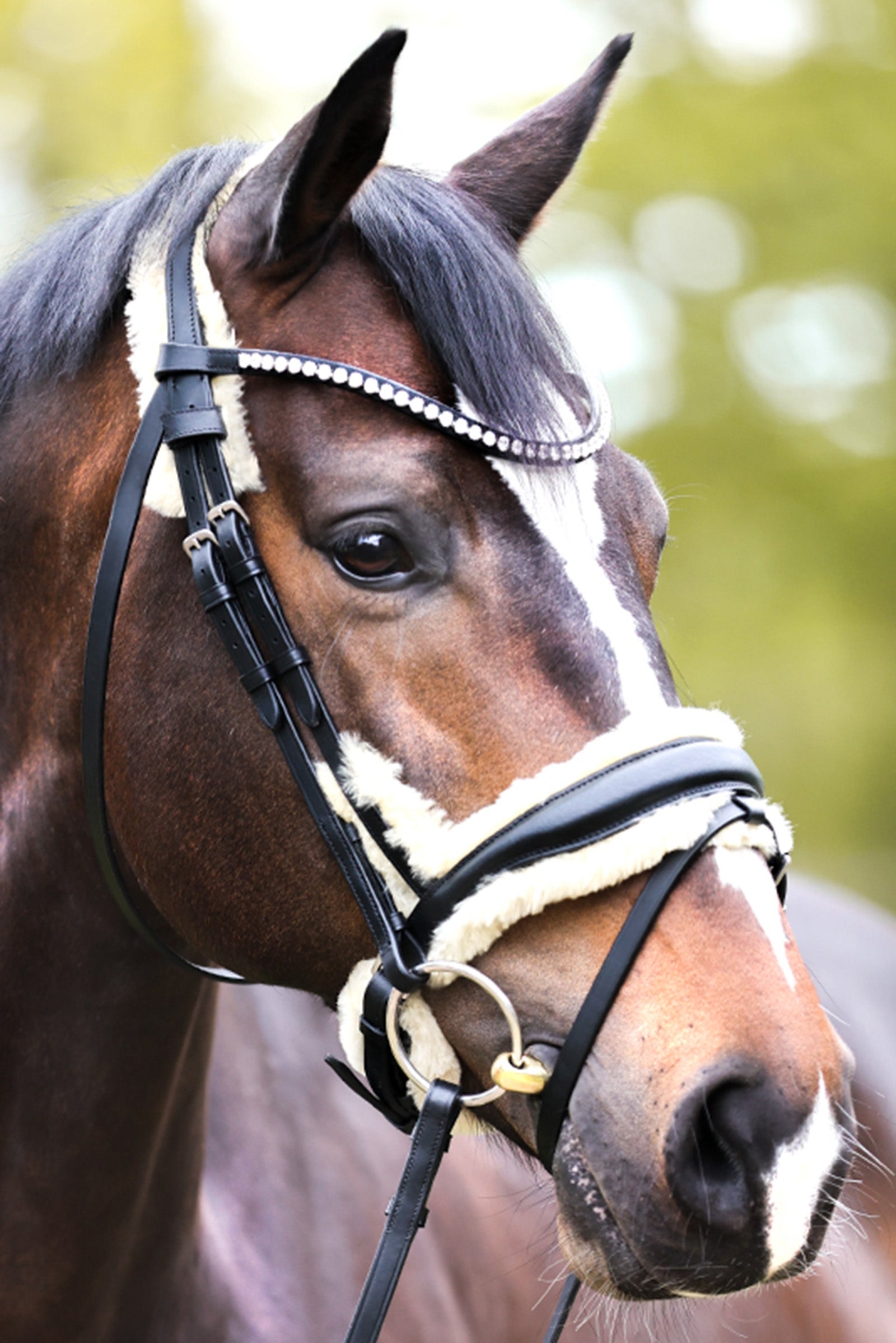 Kavalkade Joyce KavalSH4 Bridle Briglie & redini