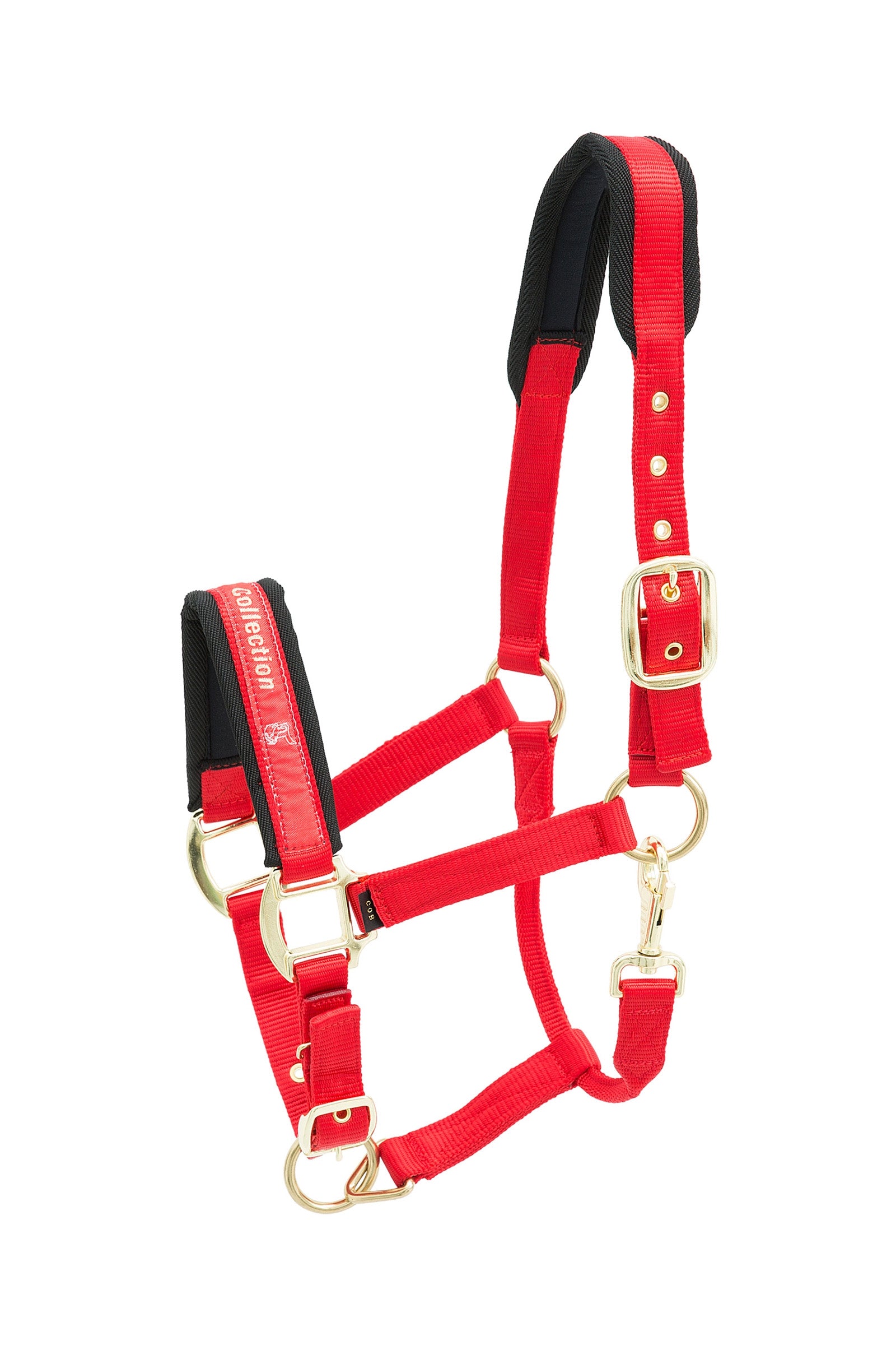 Kieffer Collarino in nylon della collezione Kieffer Cavezze e guinsagli