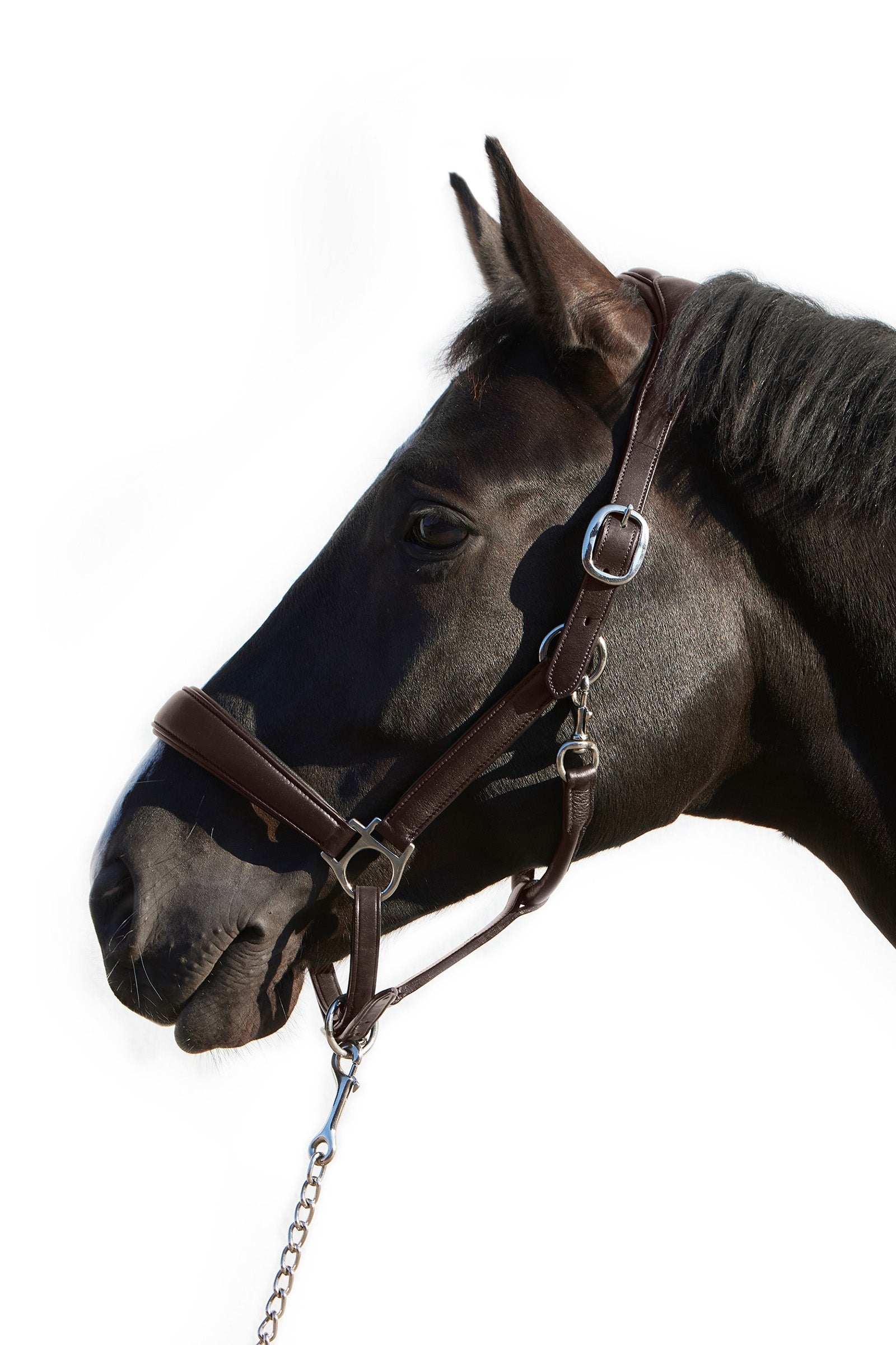 Kieffer Collarino in pelle Ultrasoft® Deluxe Cavezze e guinsagli