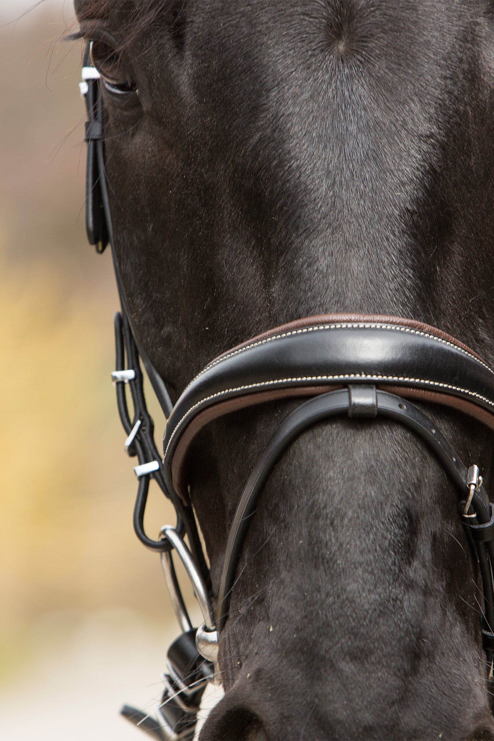 Kieffer Vera Bridle Bridles & Reins