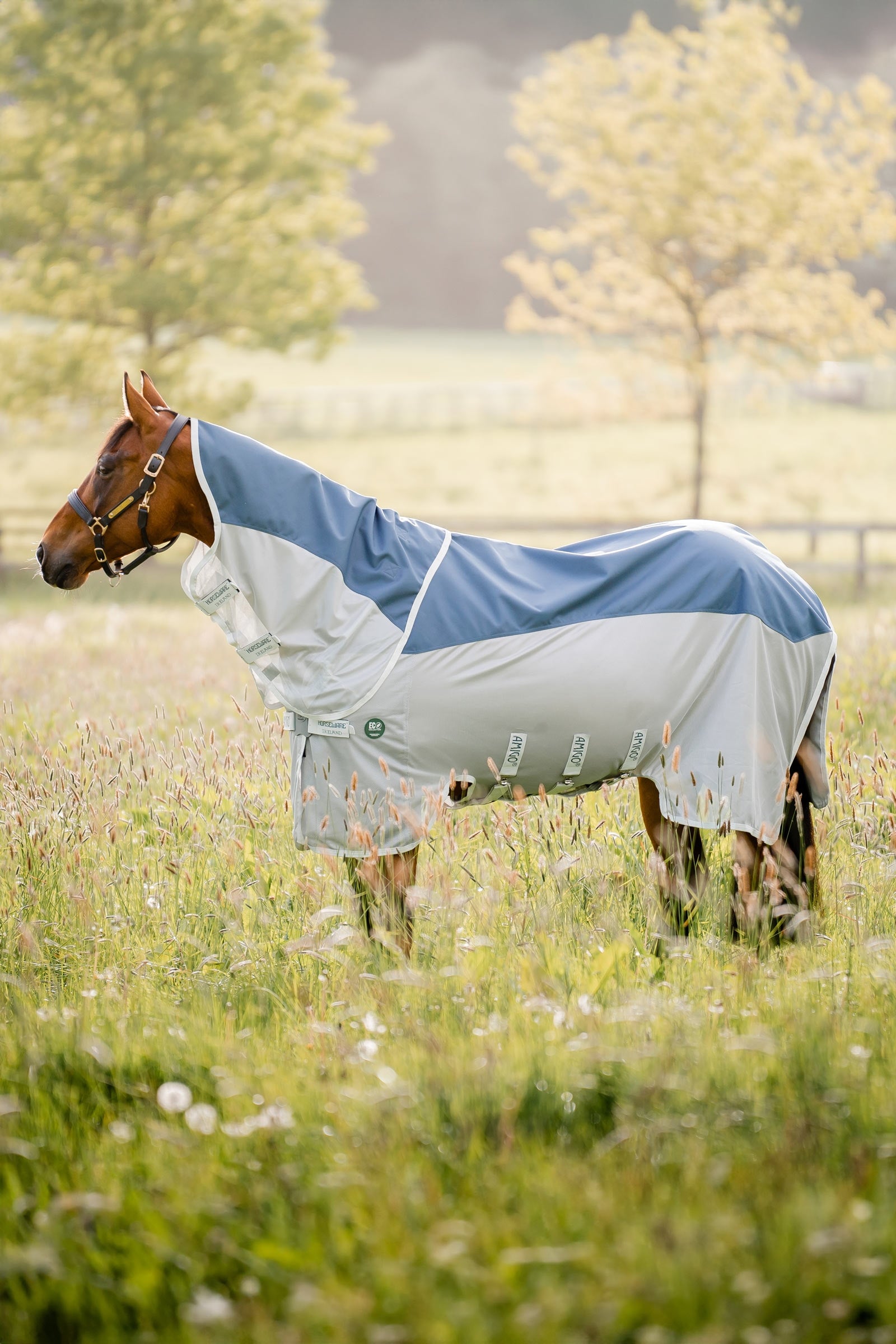 Horseware Amigo AmEco Combi coperta antimosche Coperte per cavalli