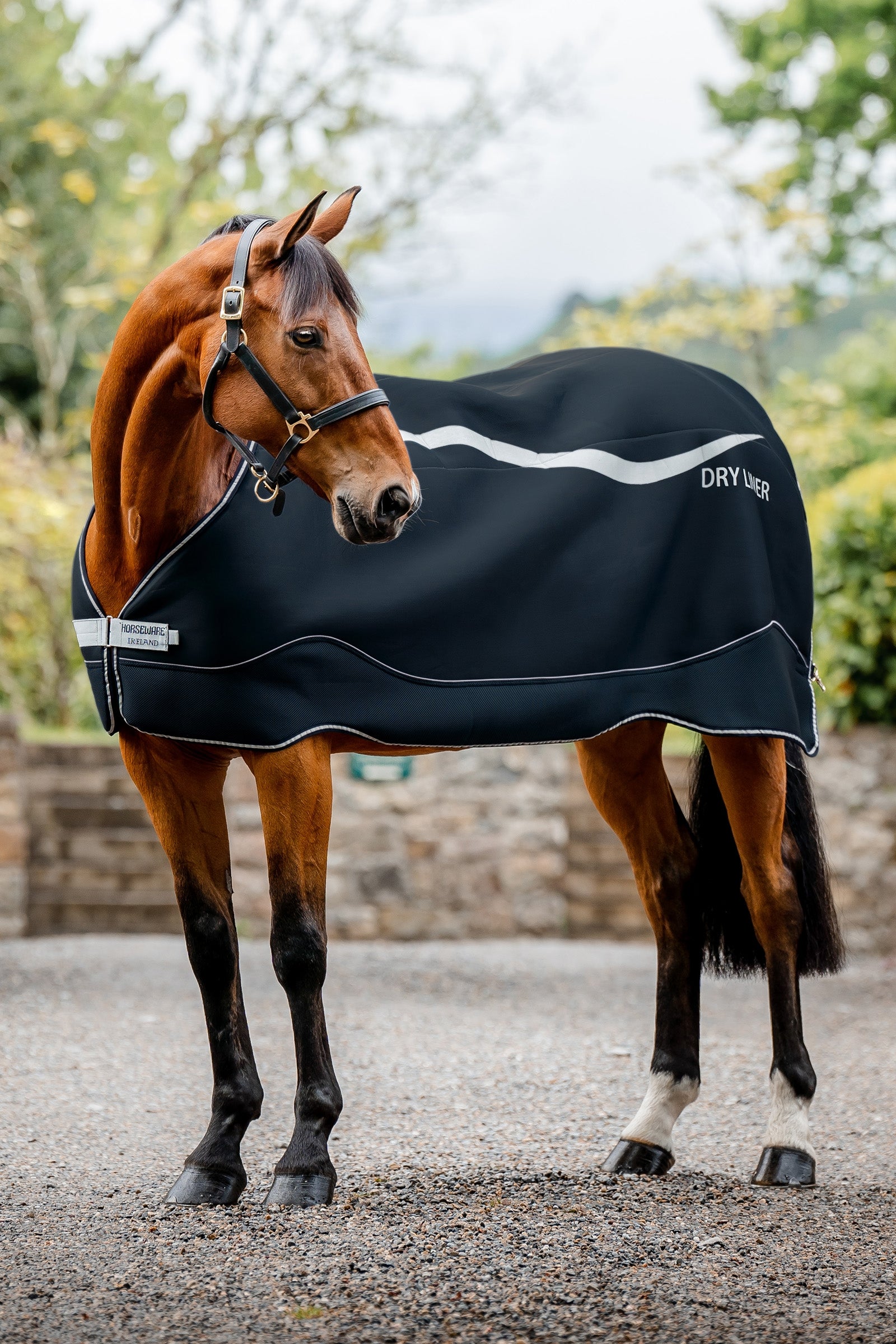 Horseware Dry Liner sottocoperta con funzione di asciugatura, 50 g Coperte per cavalli
