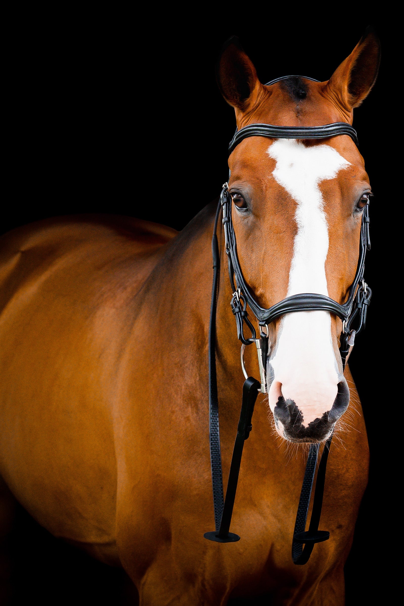 Horseware Micklem 2 Deluxe Competition Briglia Briglie & redini
