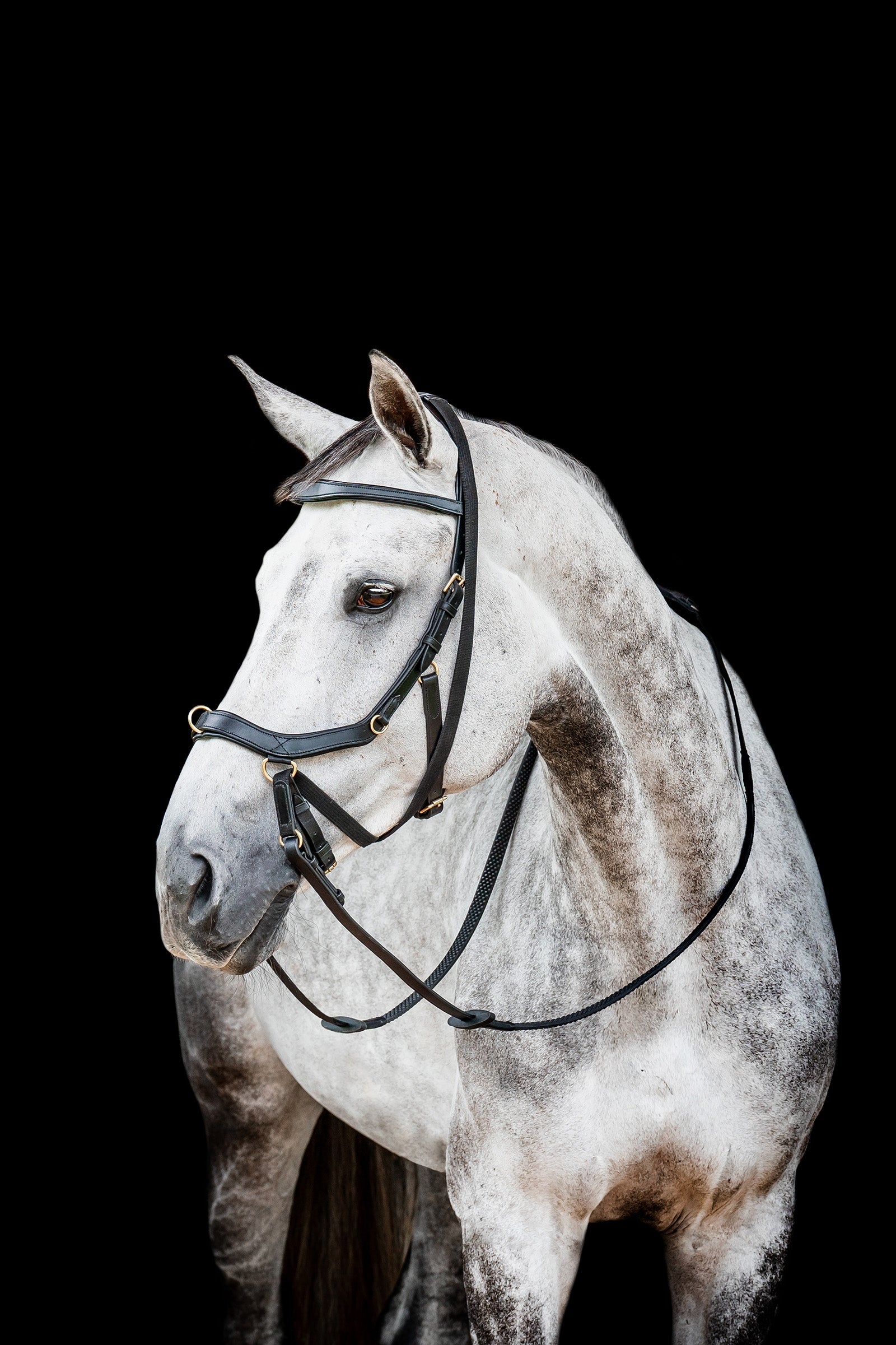 Horseware Micklem 2 Multi Briglia Briglie & redini