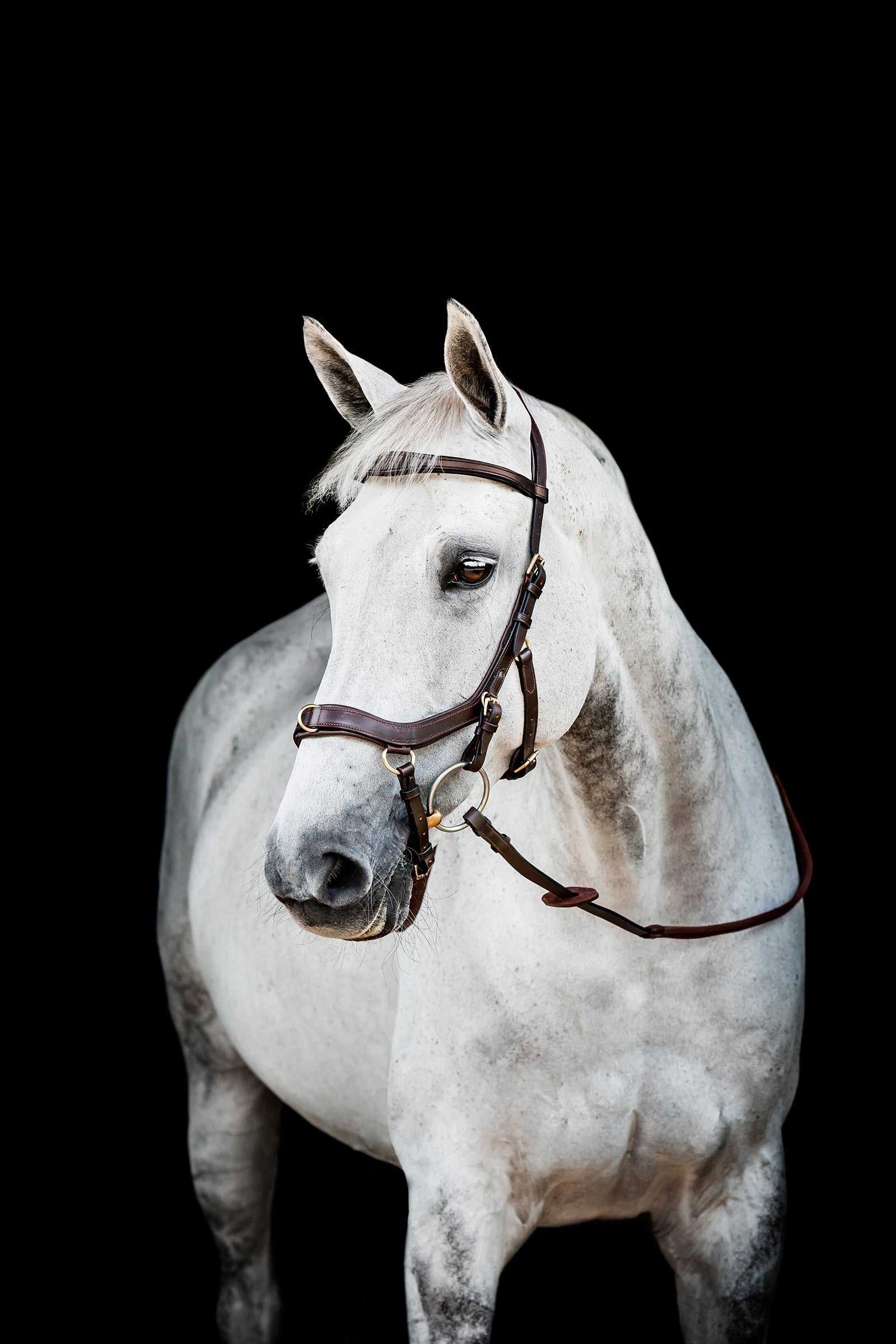 Horseware Micklem 2 Multi Briglia Briglie & redini